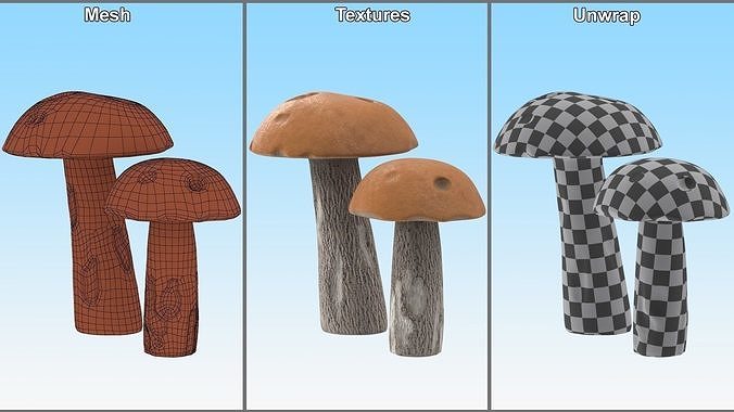 Edible Mushrooms Collection 3D Model Pack 7