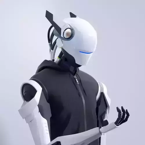 Technology Robot Mechanical Sci-Fi Male NFT Role 3D model