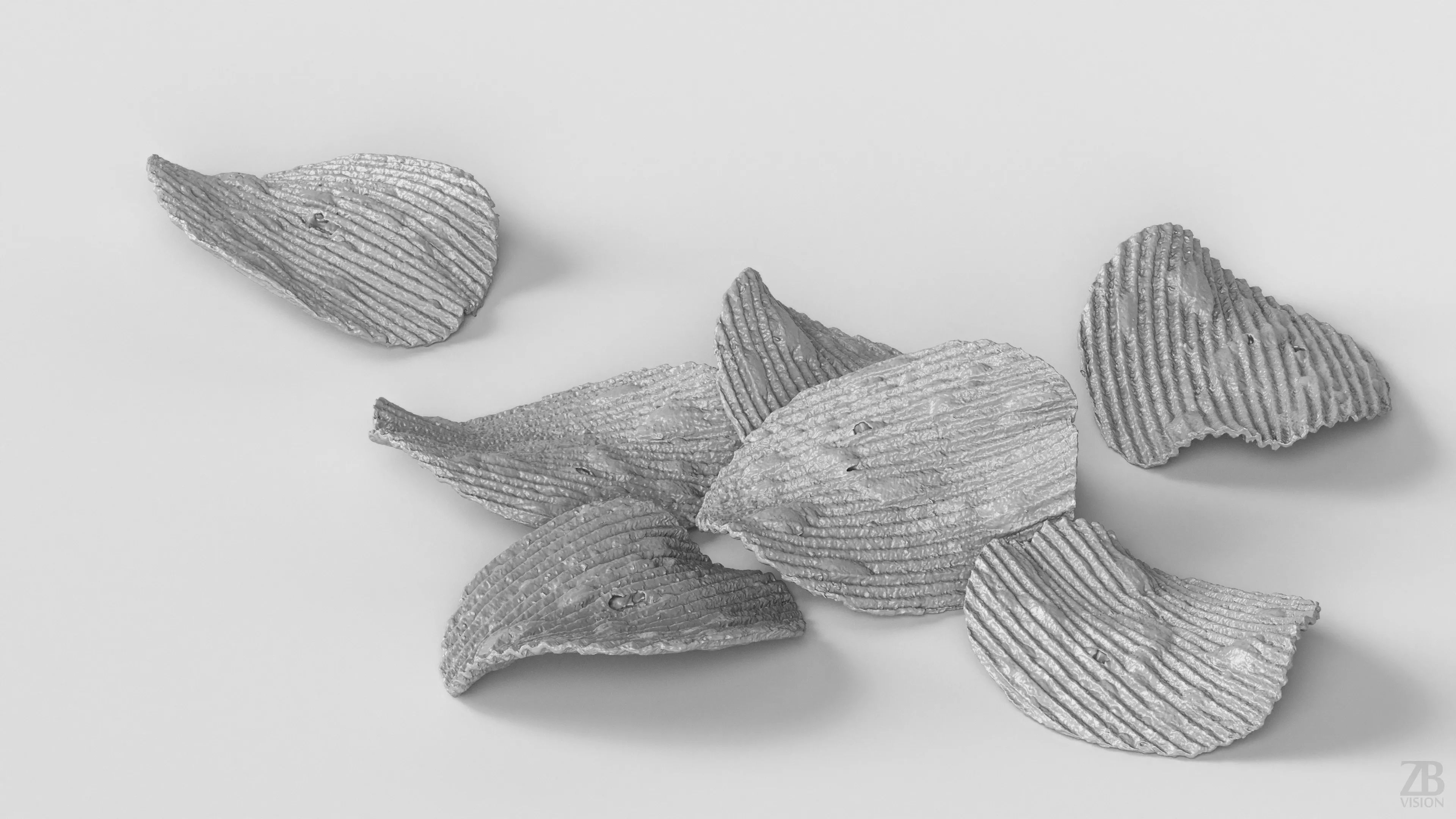 Potato Chips 3D model_3
