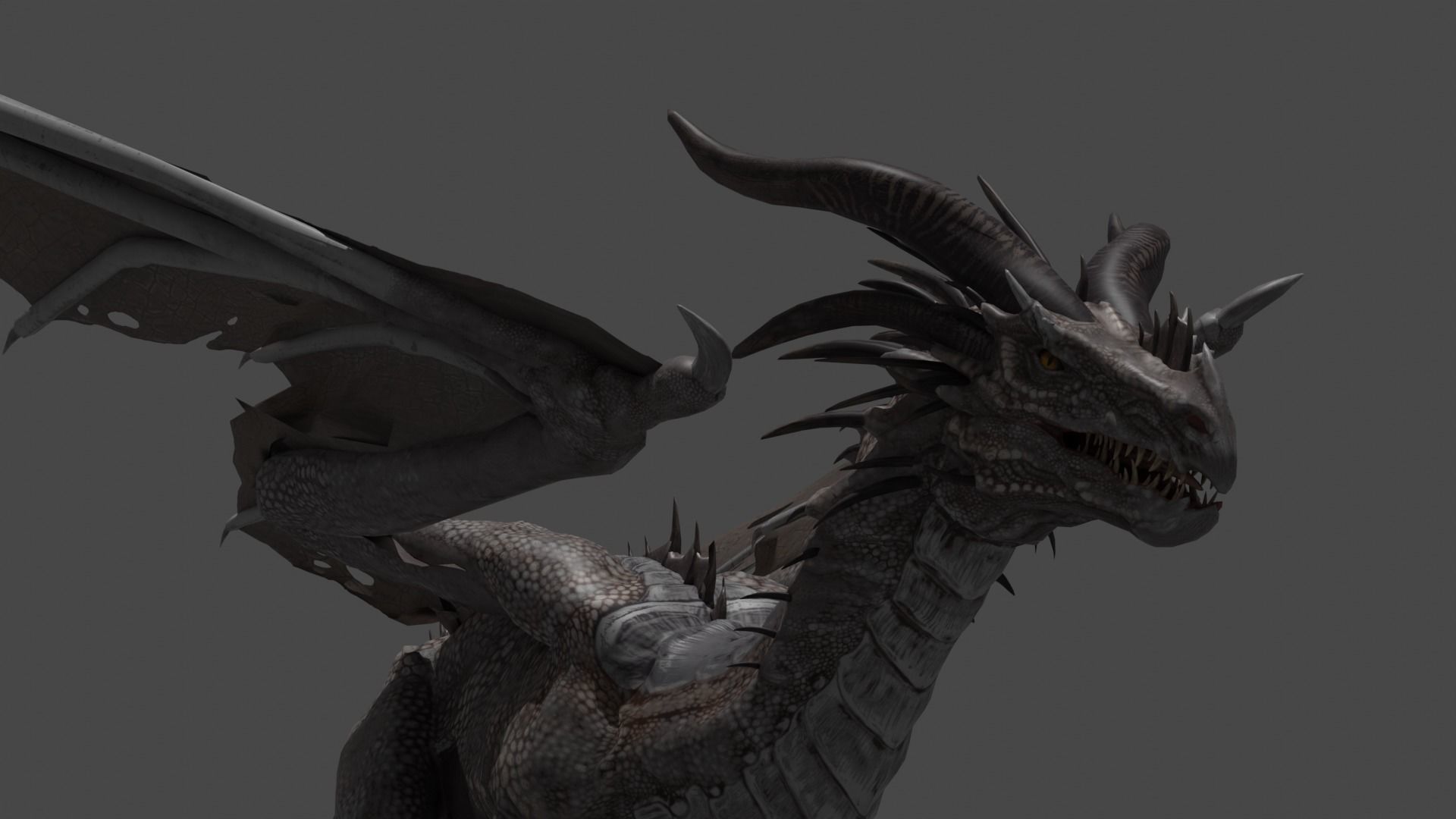 dragon 3D model_3