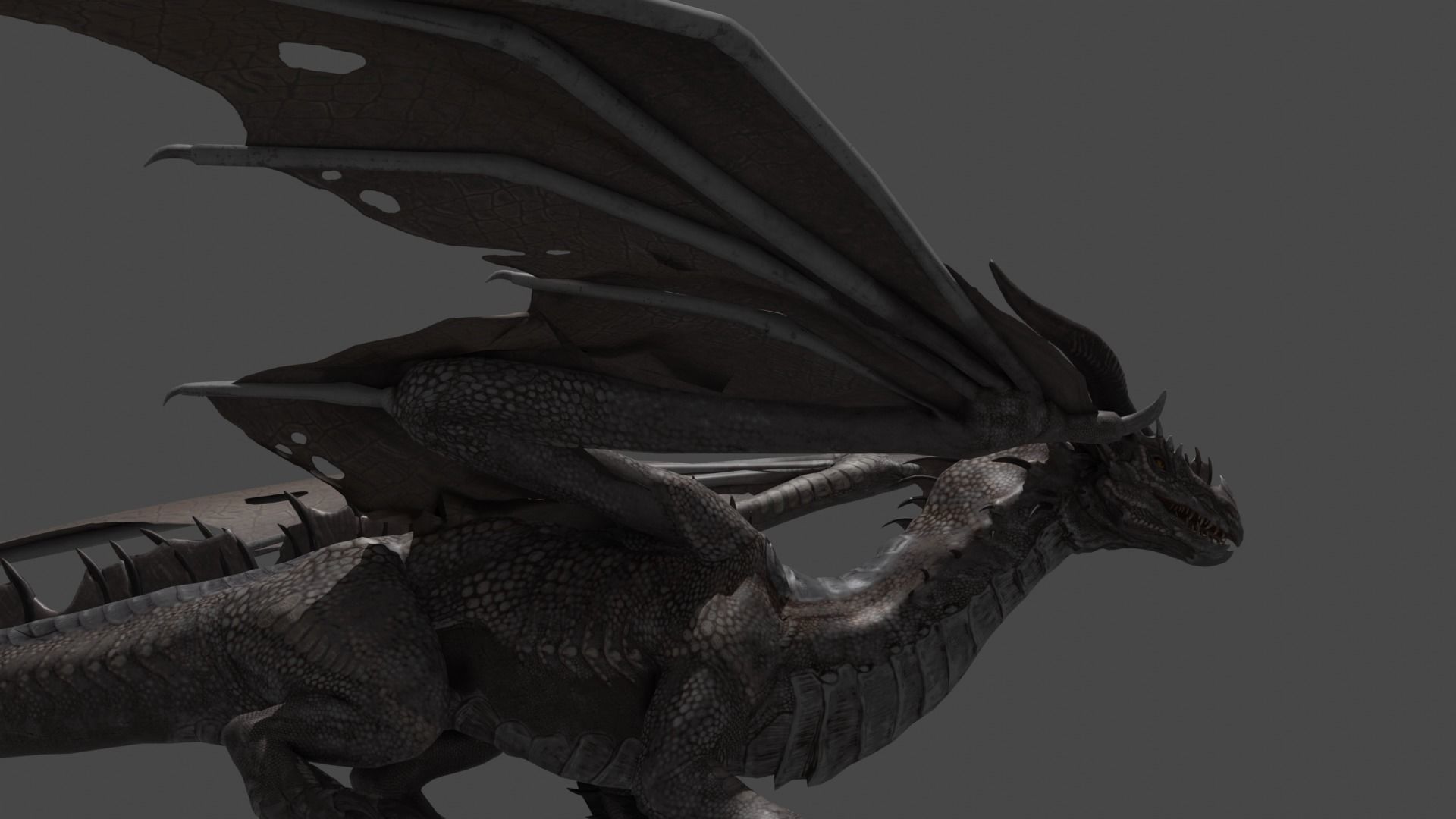 dragon 3D model_4