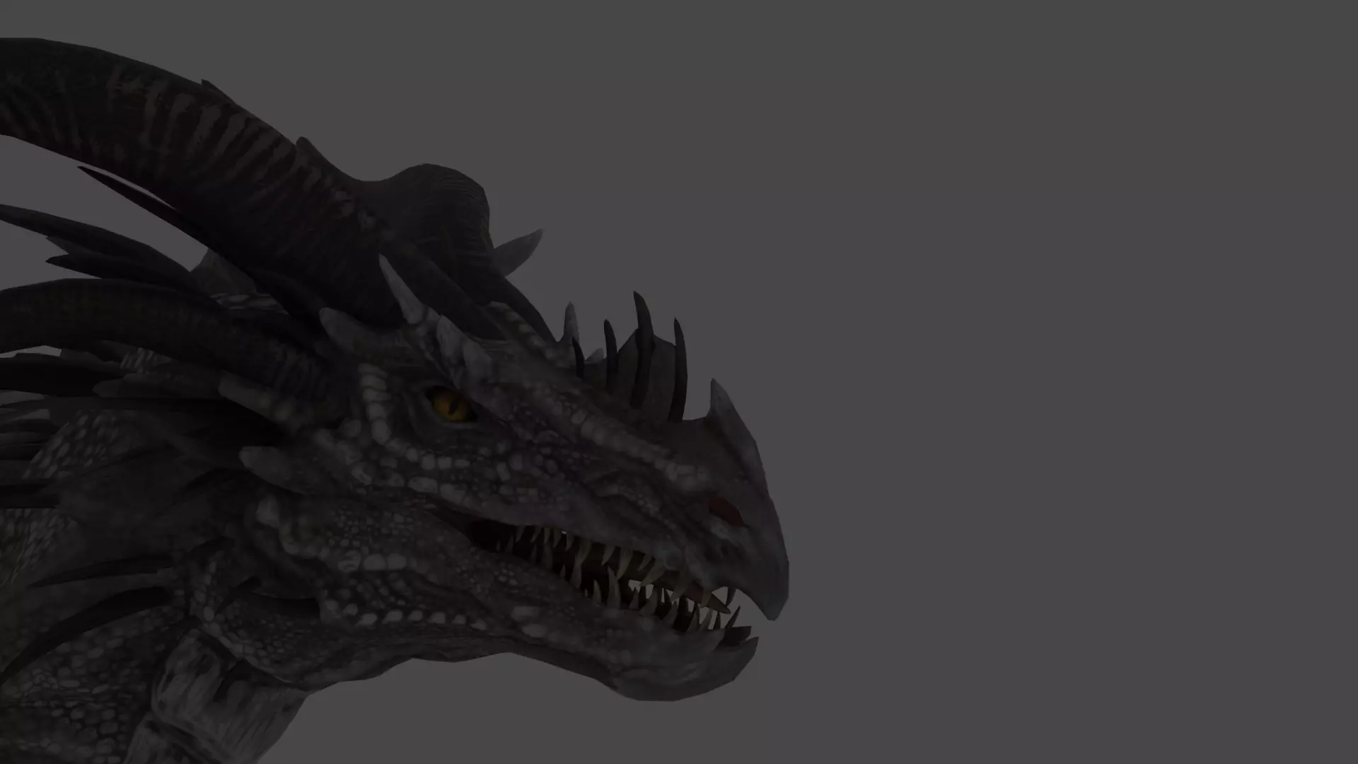 dragon 3D model_0