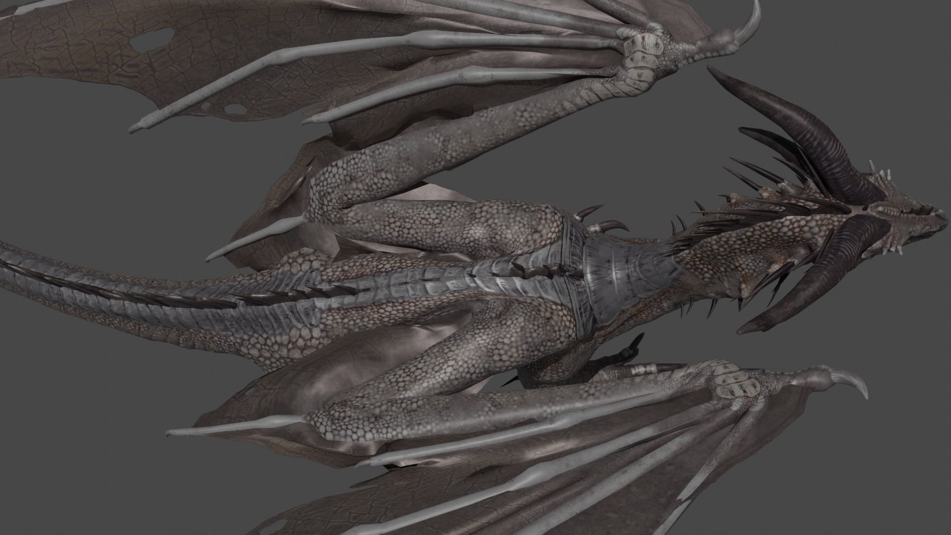 dragon 3D model_7