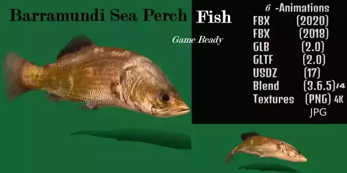 Barramundi Asian Sea Bass Fish Low-poly 3D model