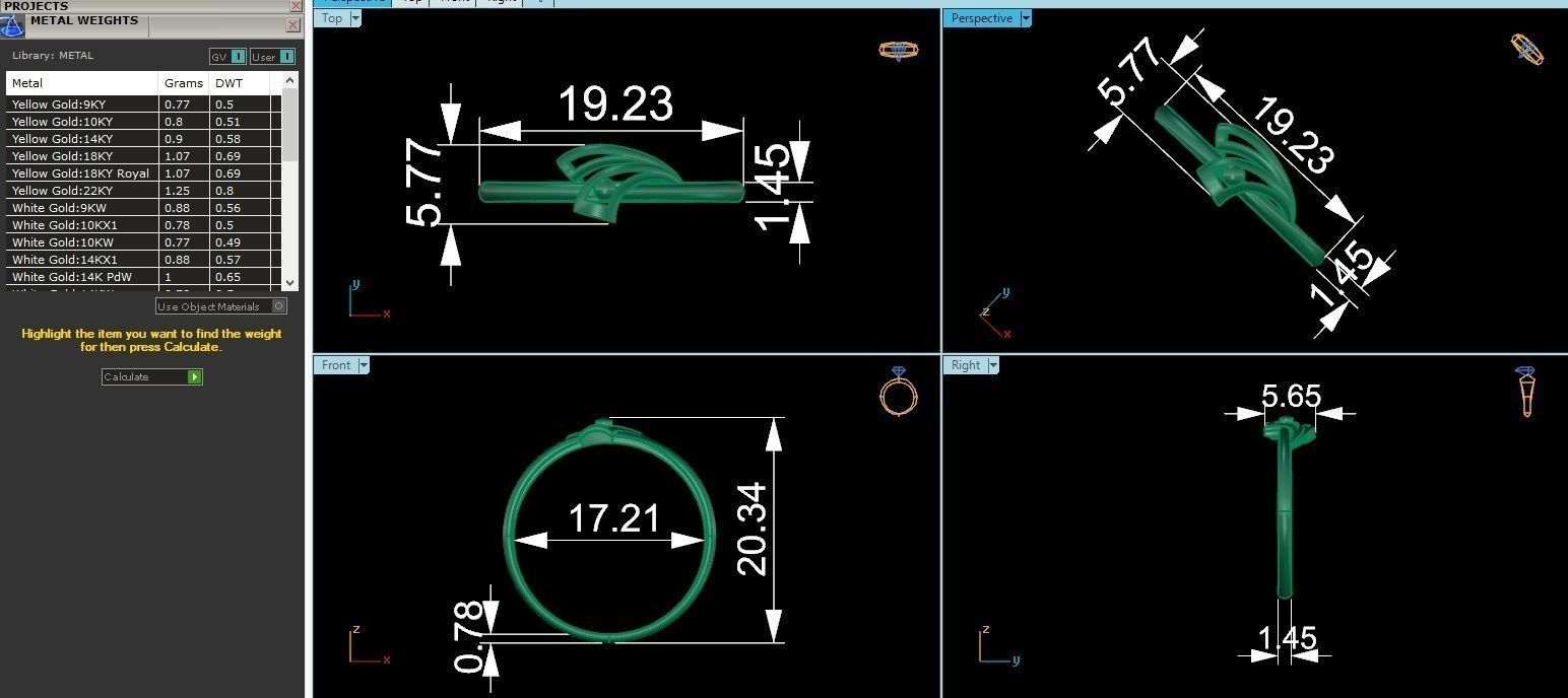 Peacock Head Ultra light wt minimalist Plain Gold Ring 3dm stl 3D print model_3