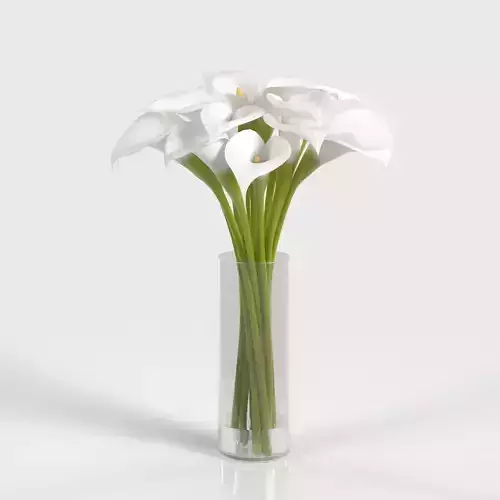 Cala Lily In Vase PBR