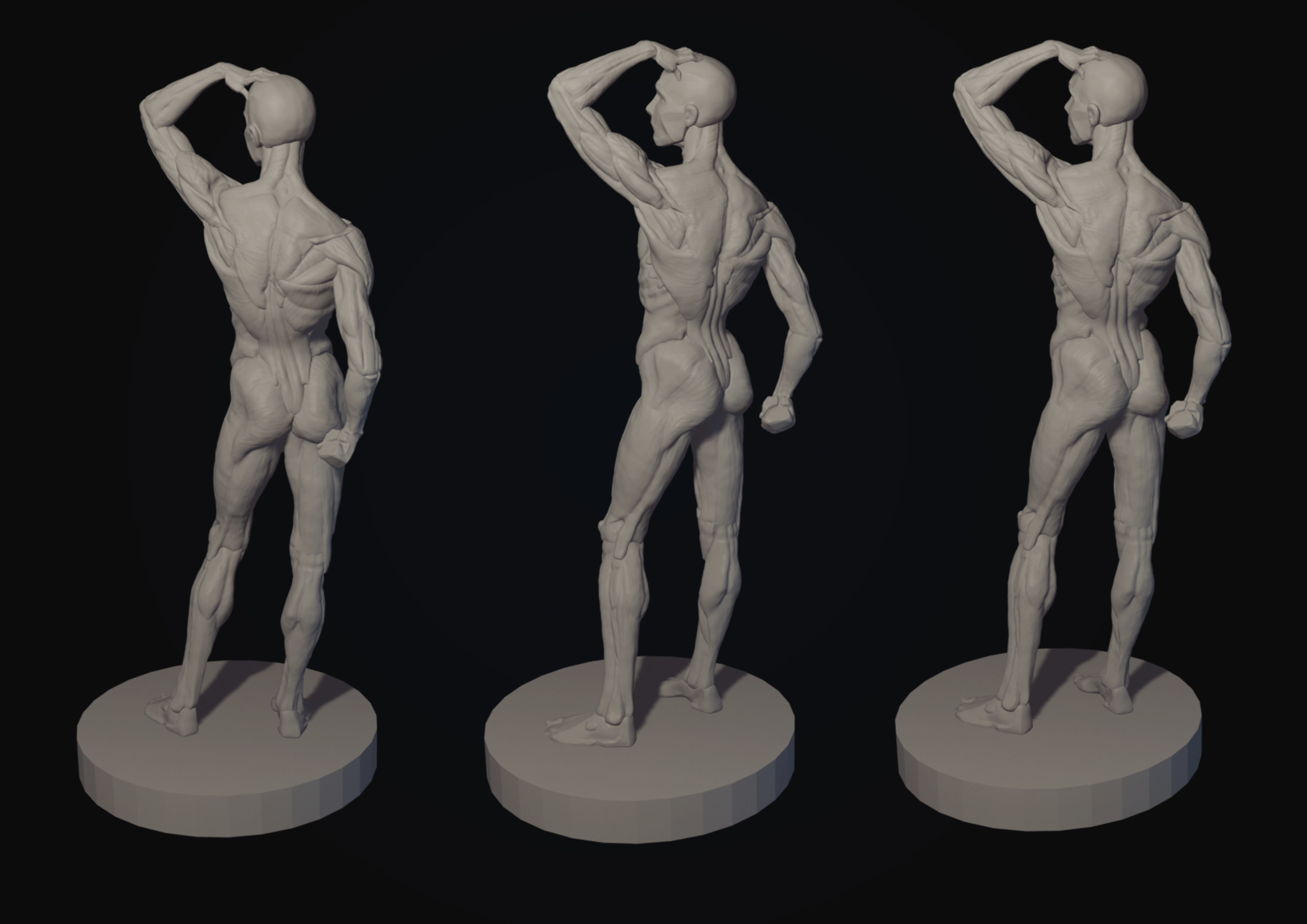 Ecorche of the male figure 3D model 3D model_2
