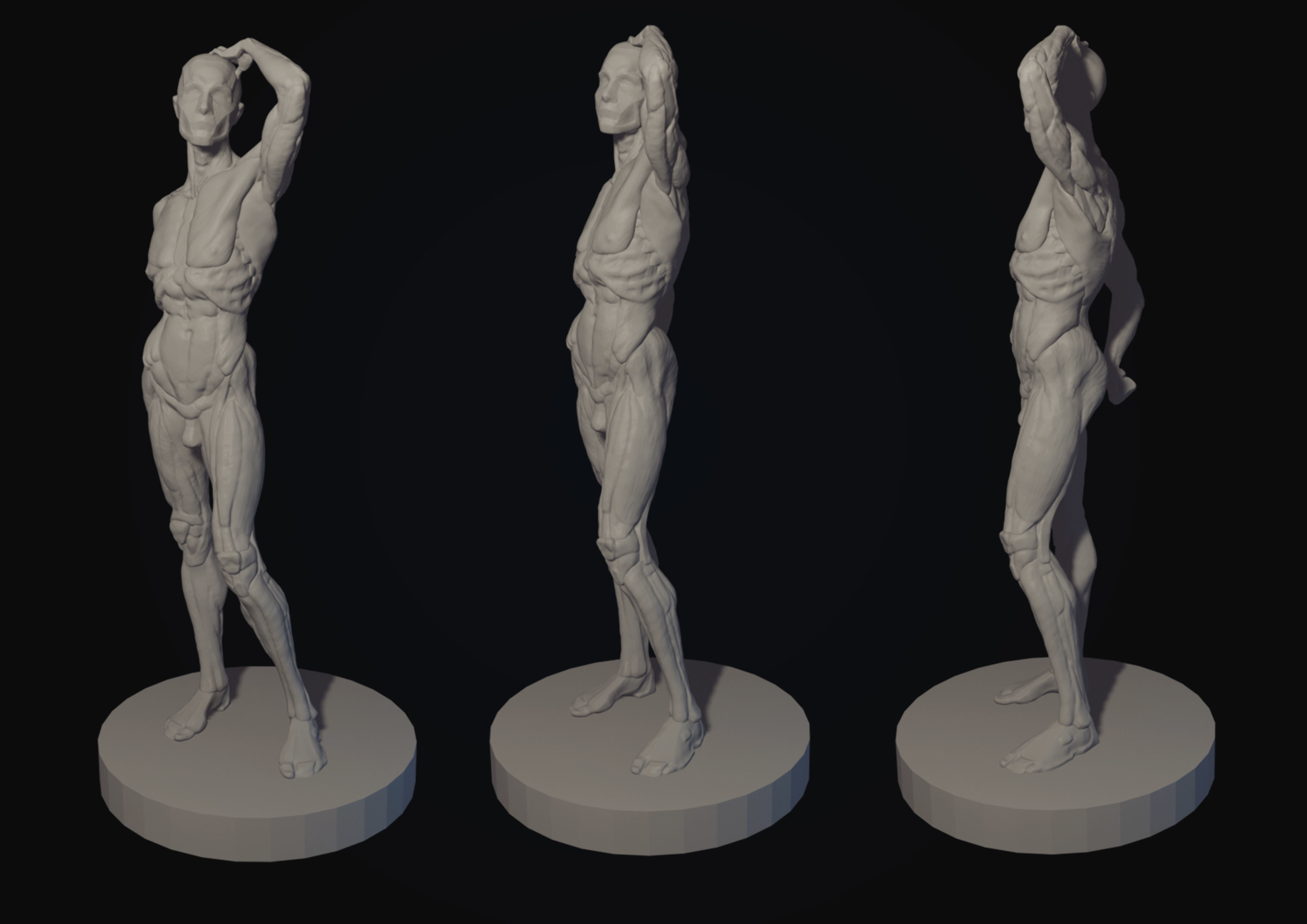 Ecorche of the male figure 3D model 3D model_1