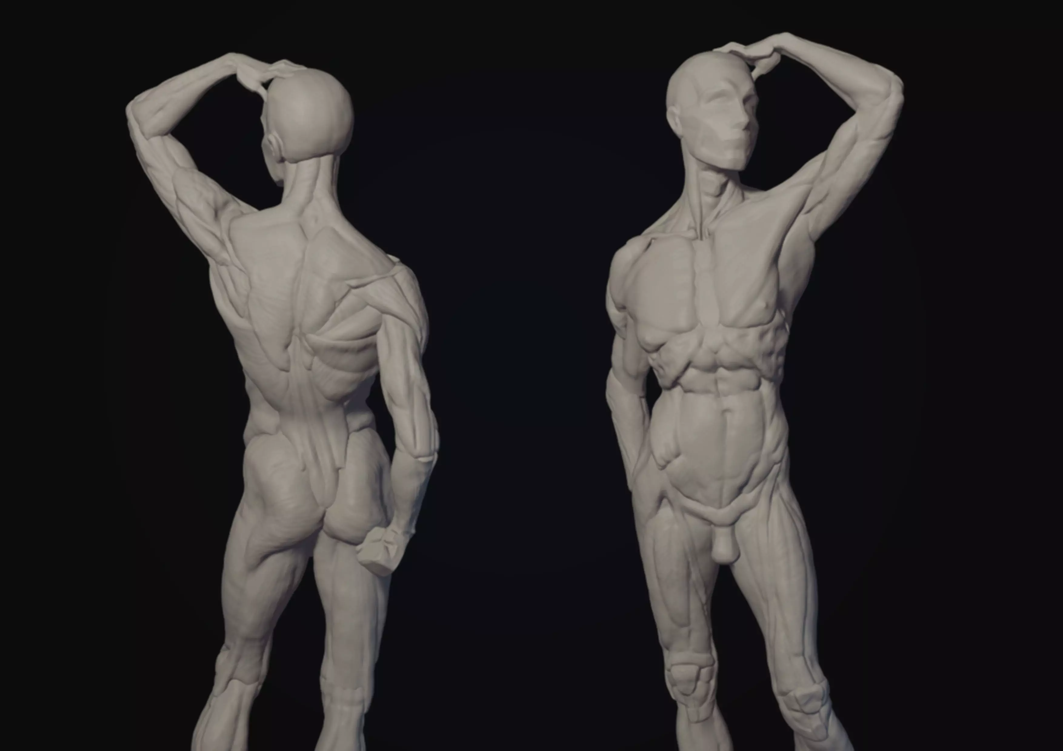 Ecorche of the male figure 3D model 3D model_0