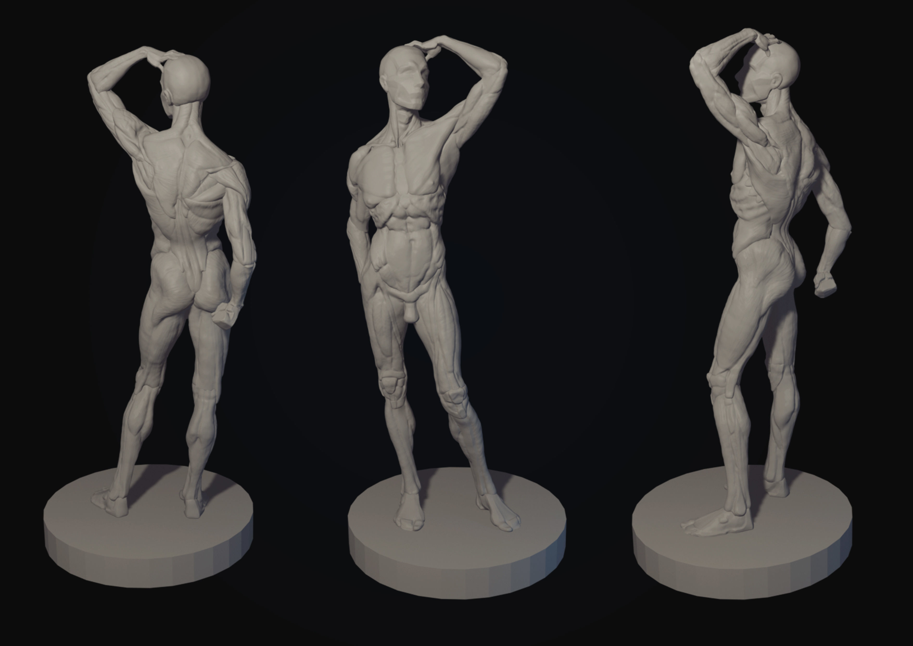 Ecorche of the male figure 3D model 3D model_4