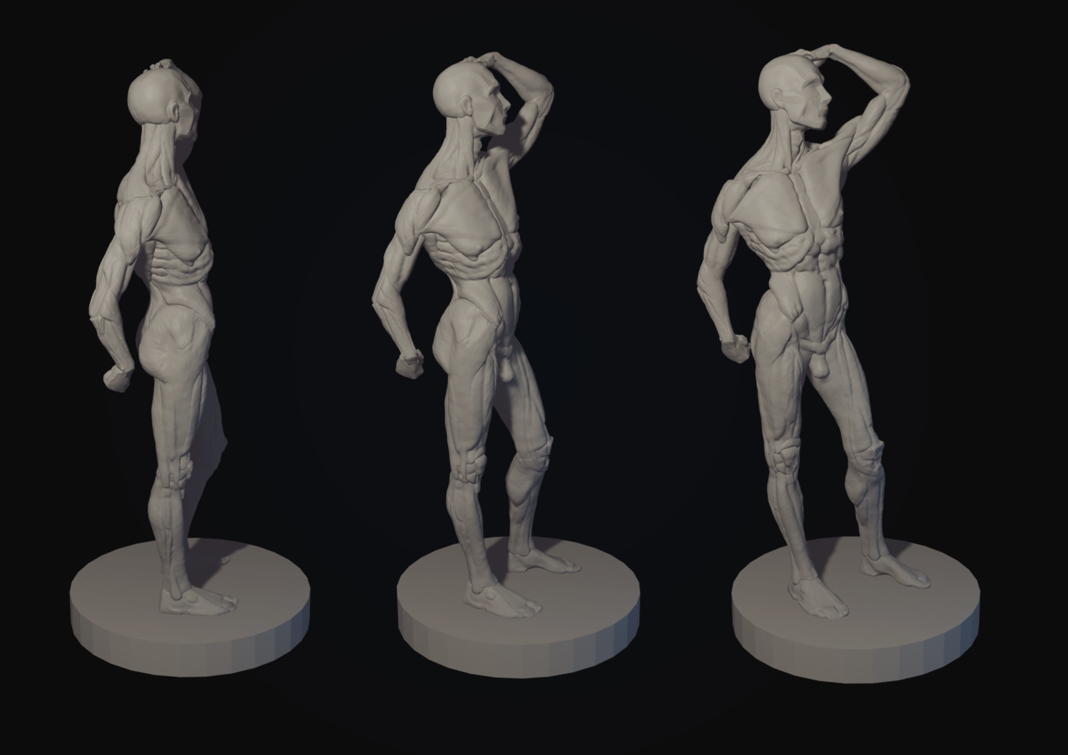 Ecorche of the male figure 3D model 3D model_3