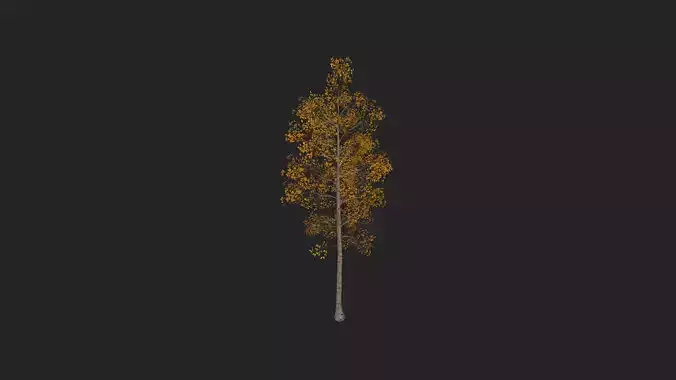 Tree 3D Model 001