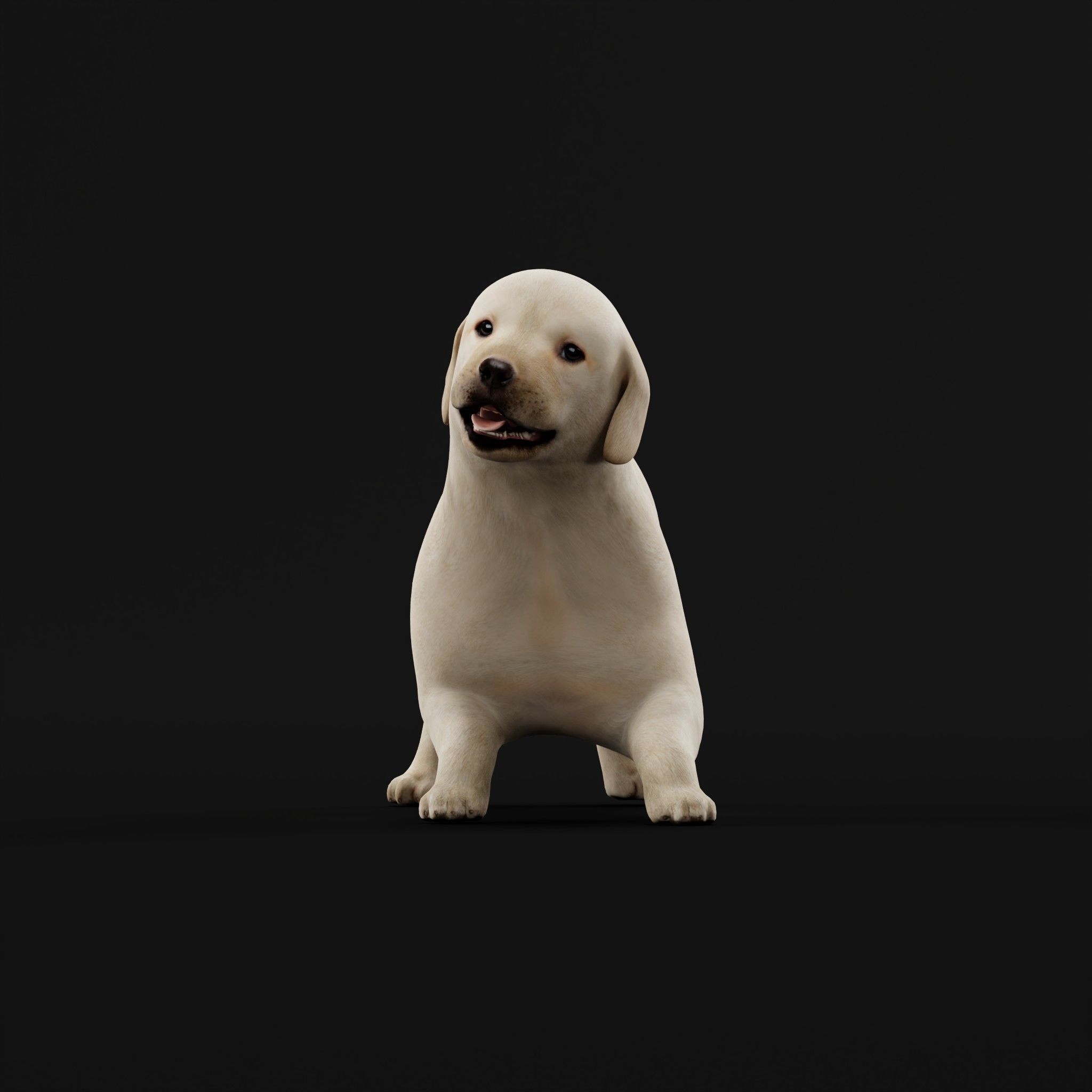 Retriever Puppy Dog 3D model_6