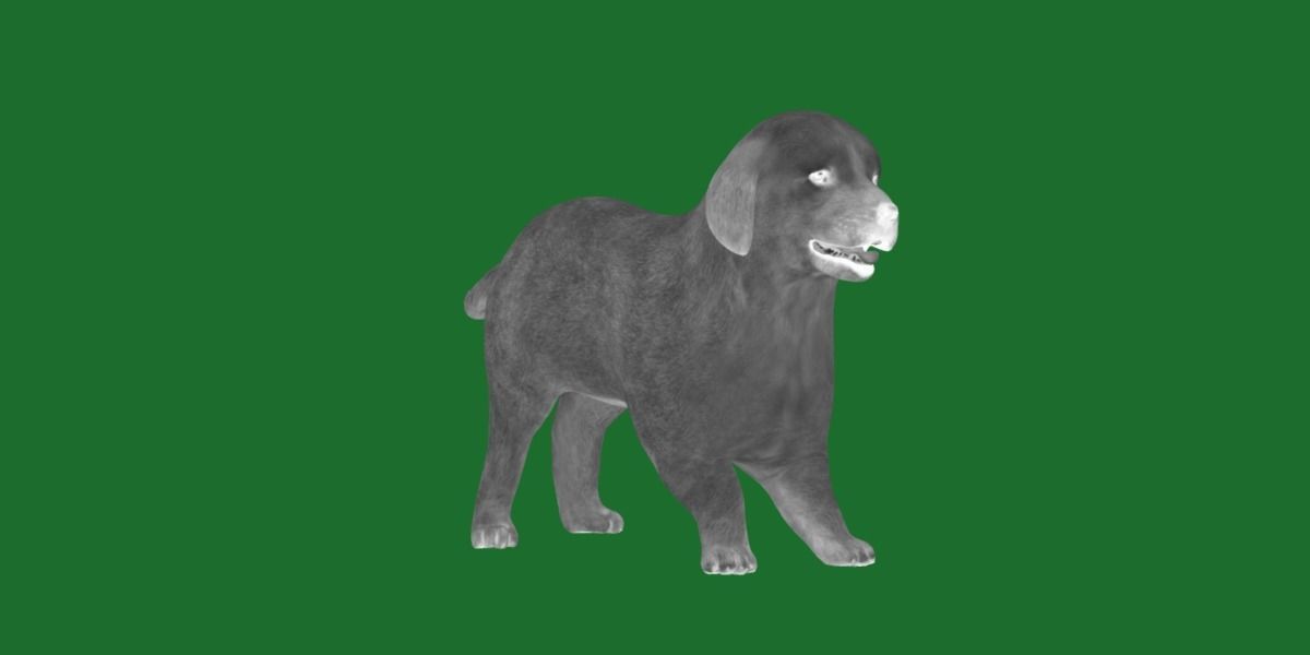 Retriever Puppy Dog 3D model_17