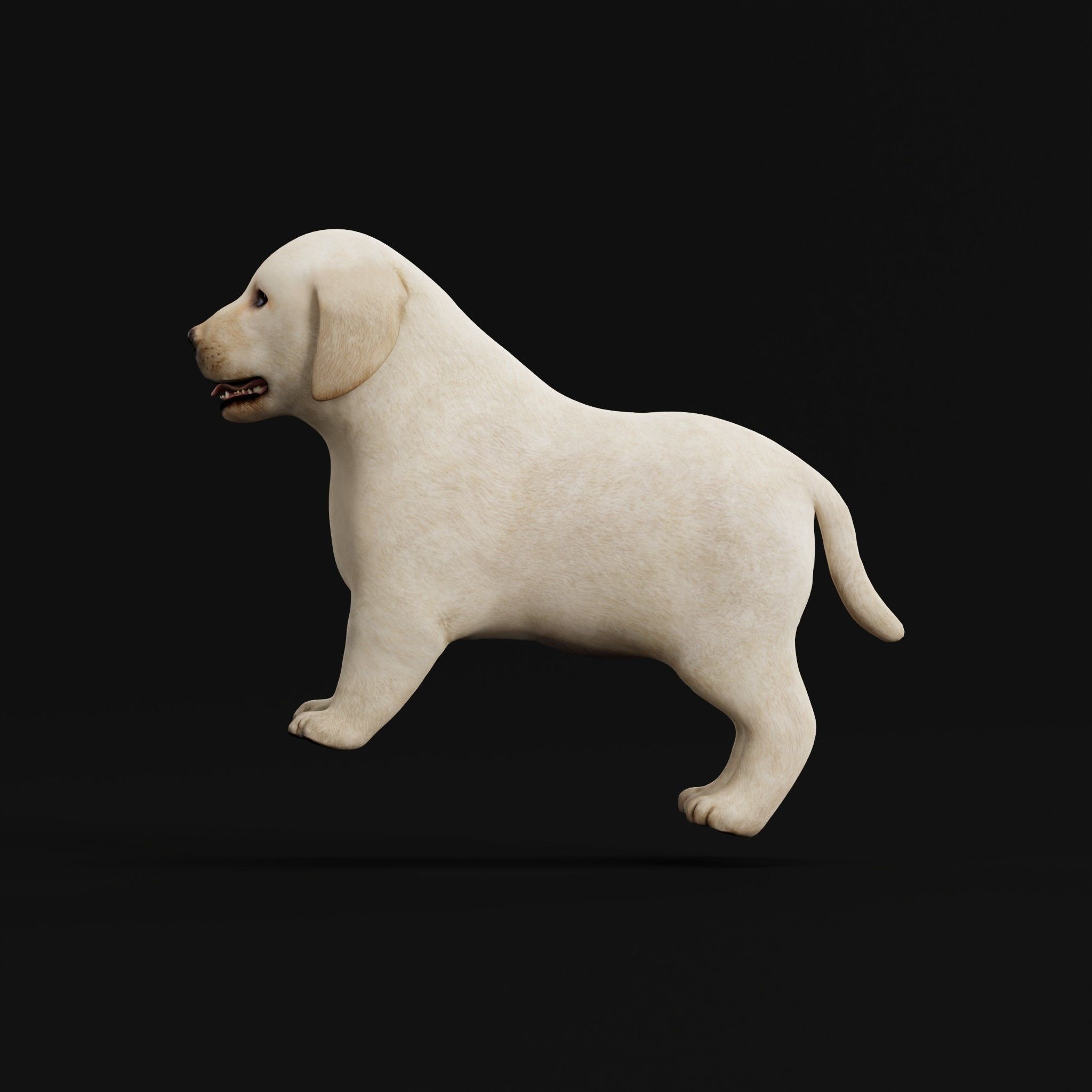 Retriever Puppy Dog 3D model_14
