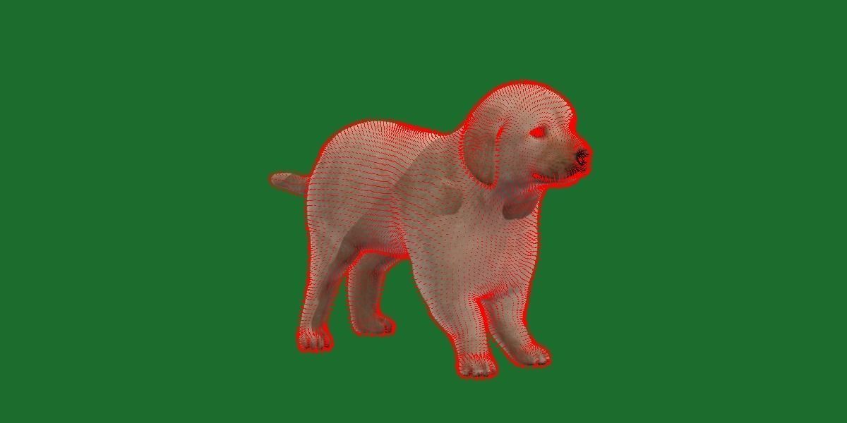 Retriever Puppy Dog 3D model_24