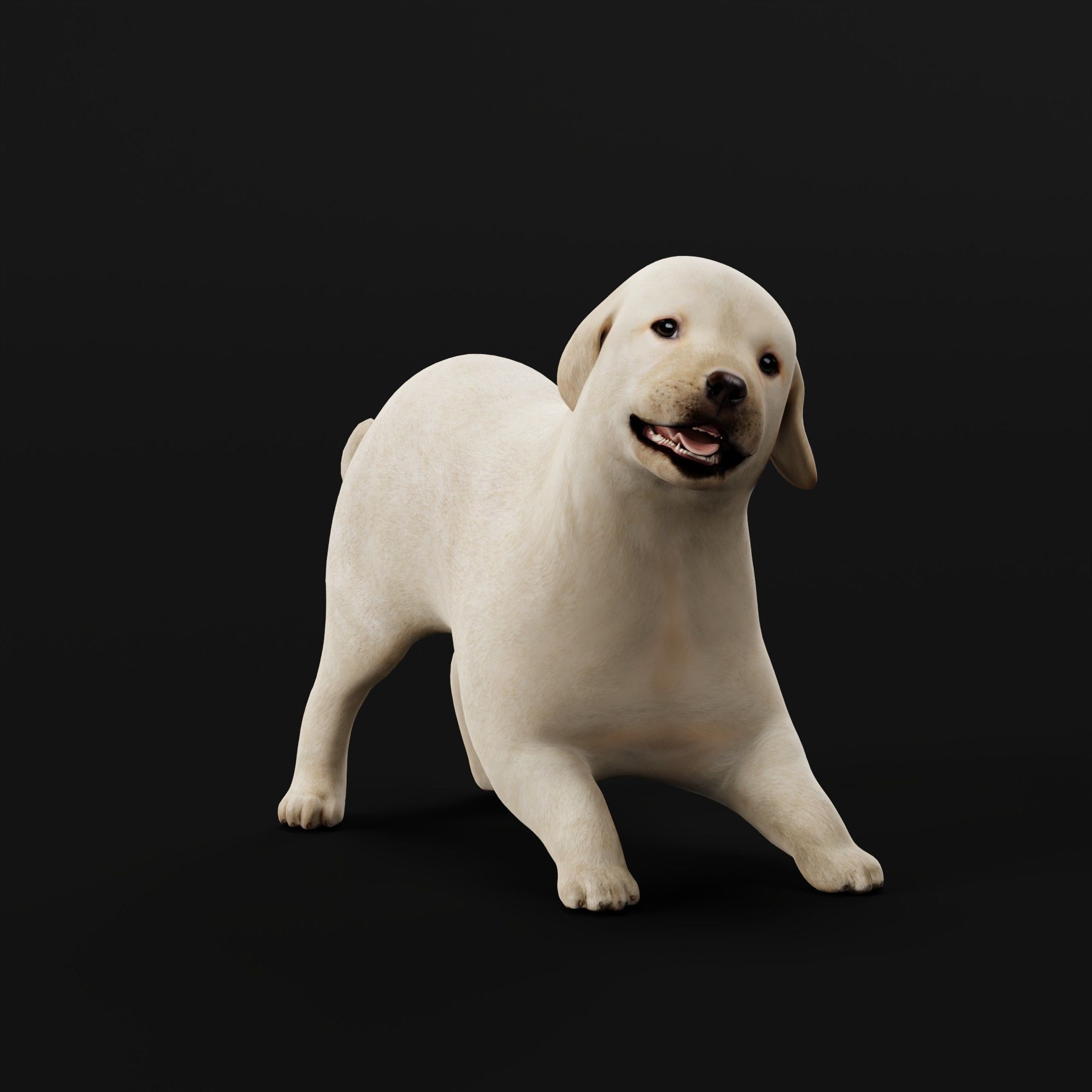 Retriever Puppy Dog 3D model_5