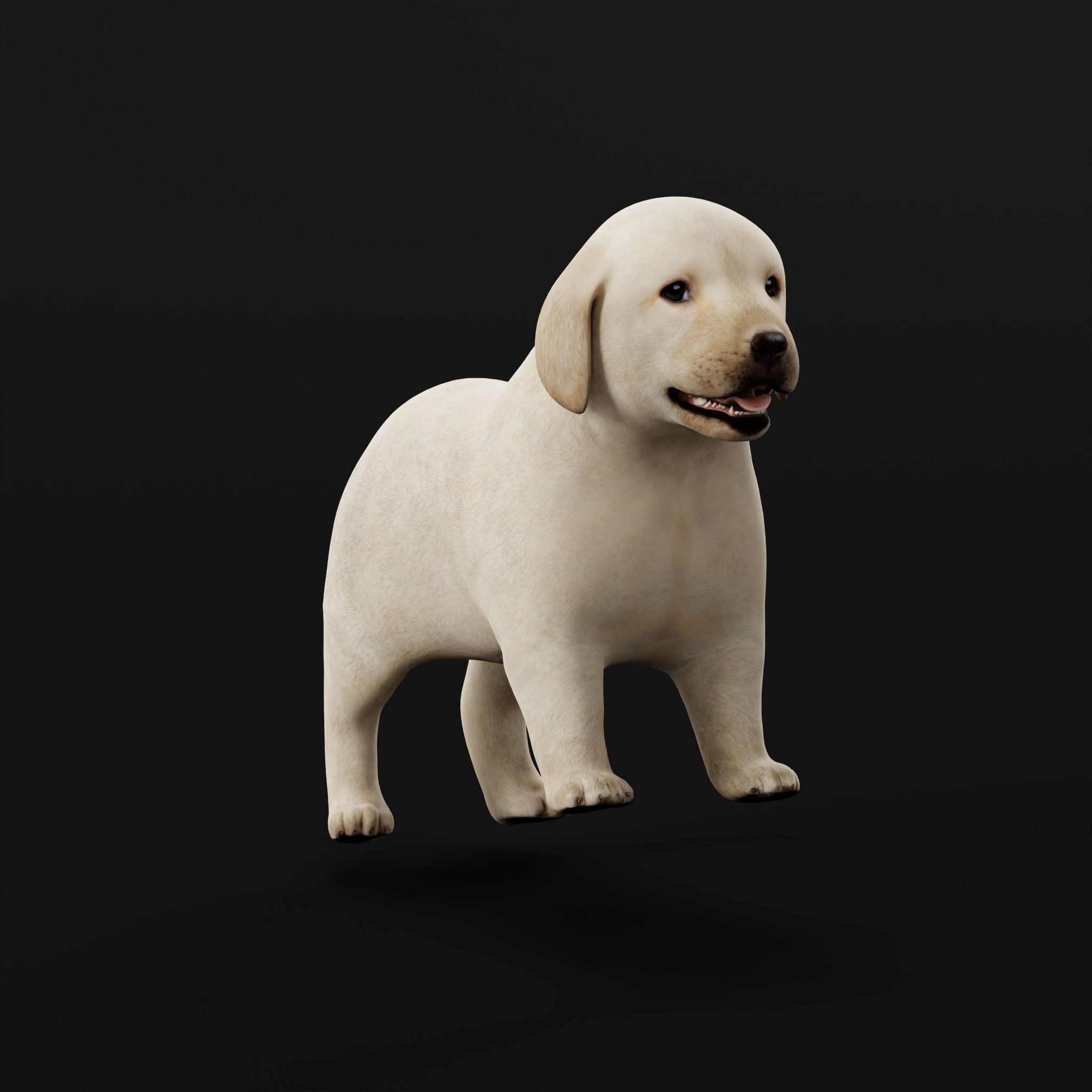 Retriever Puppy Dog 3D model_12