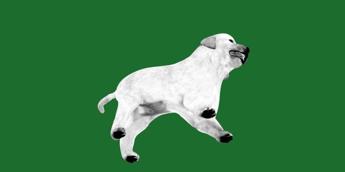 Retriever Puppy Dog 3D model_18