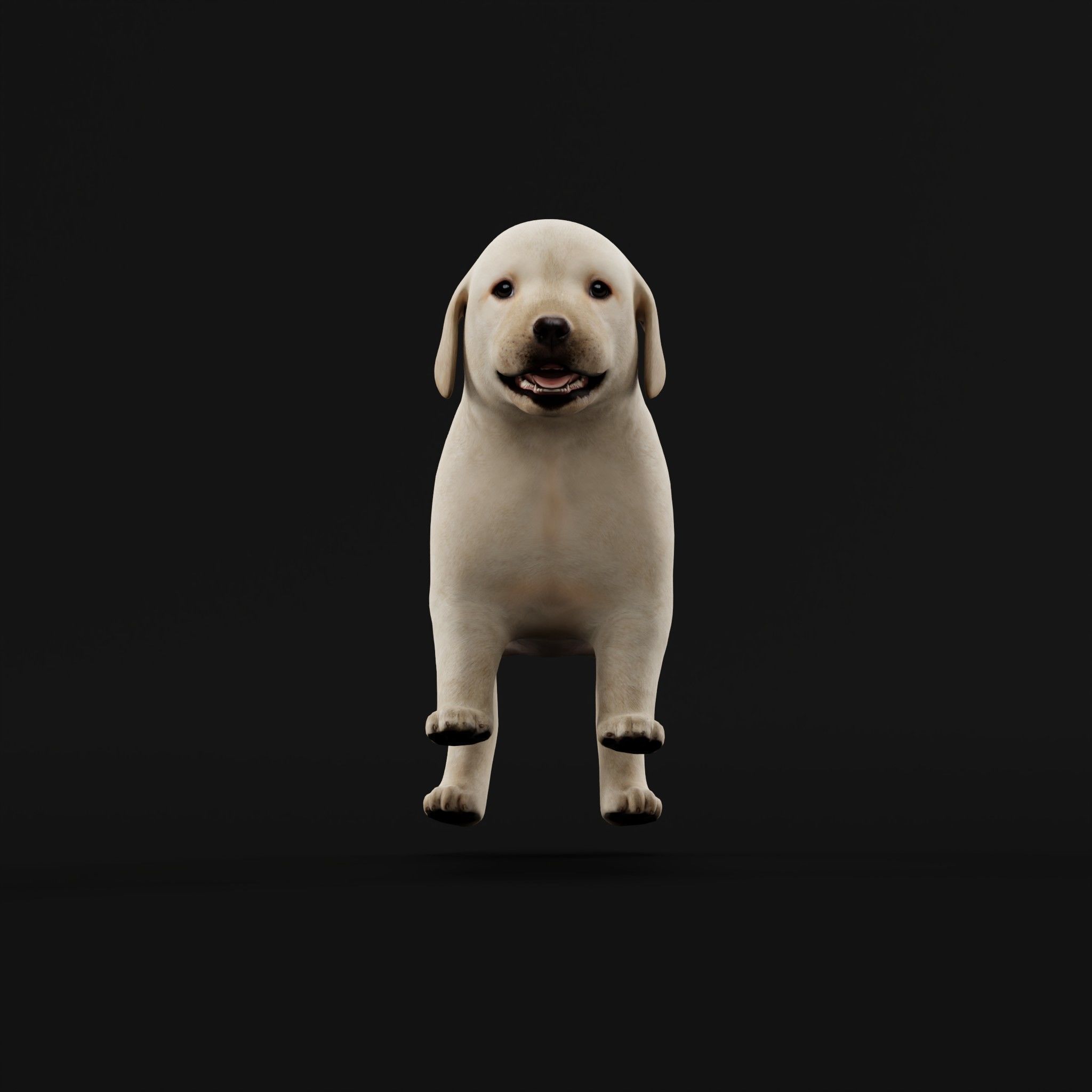 Retriever Puppy Dog 3D model_13