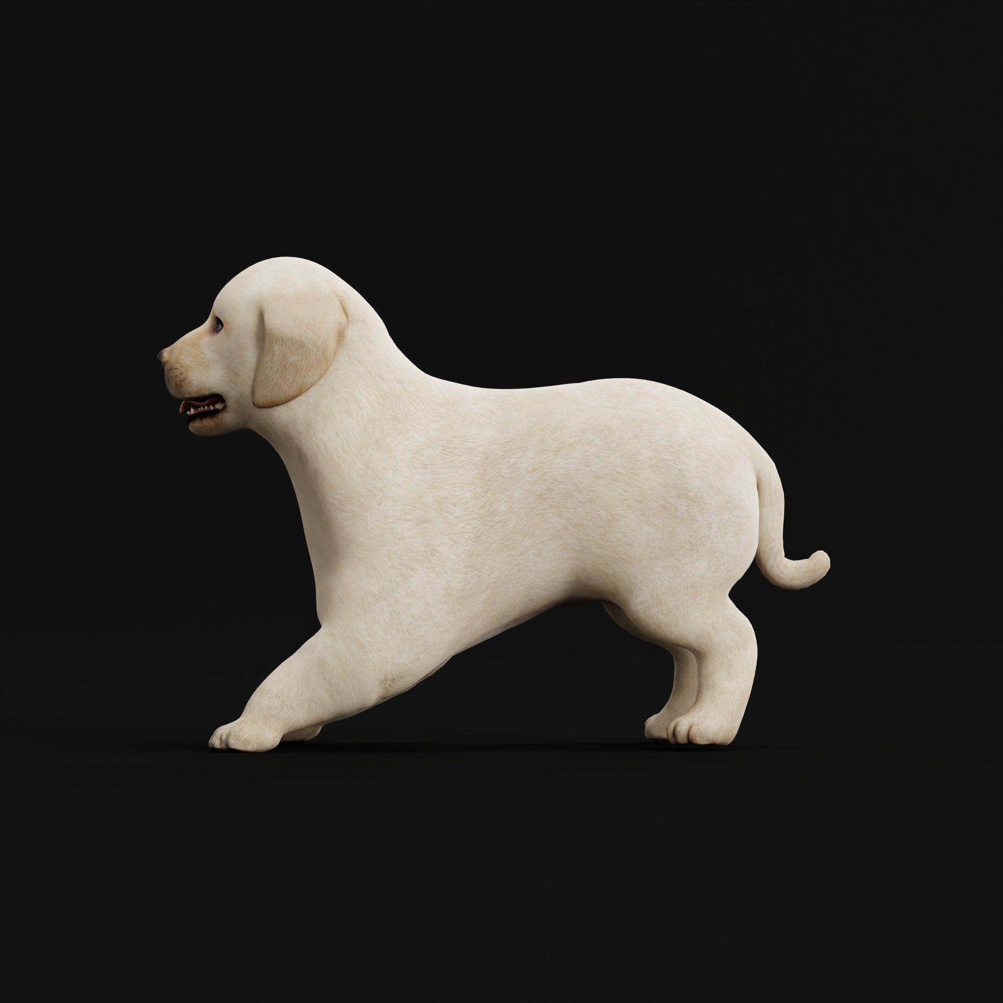 Retriever Puppy Dog 3D model_7