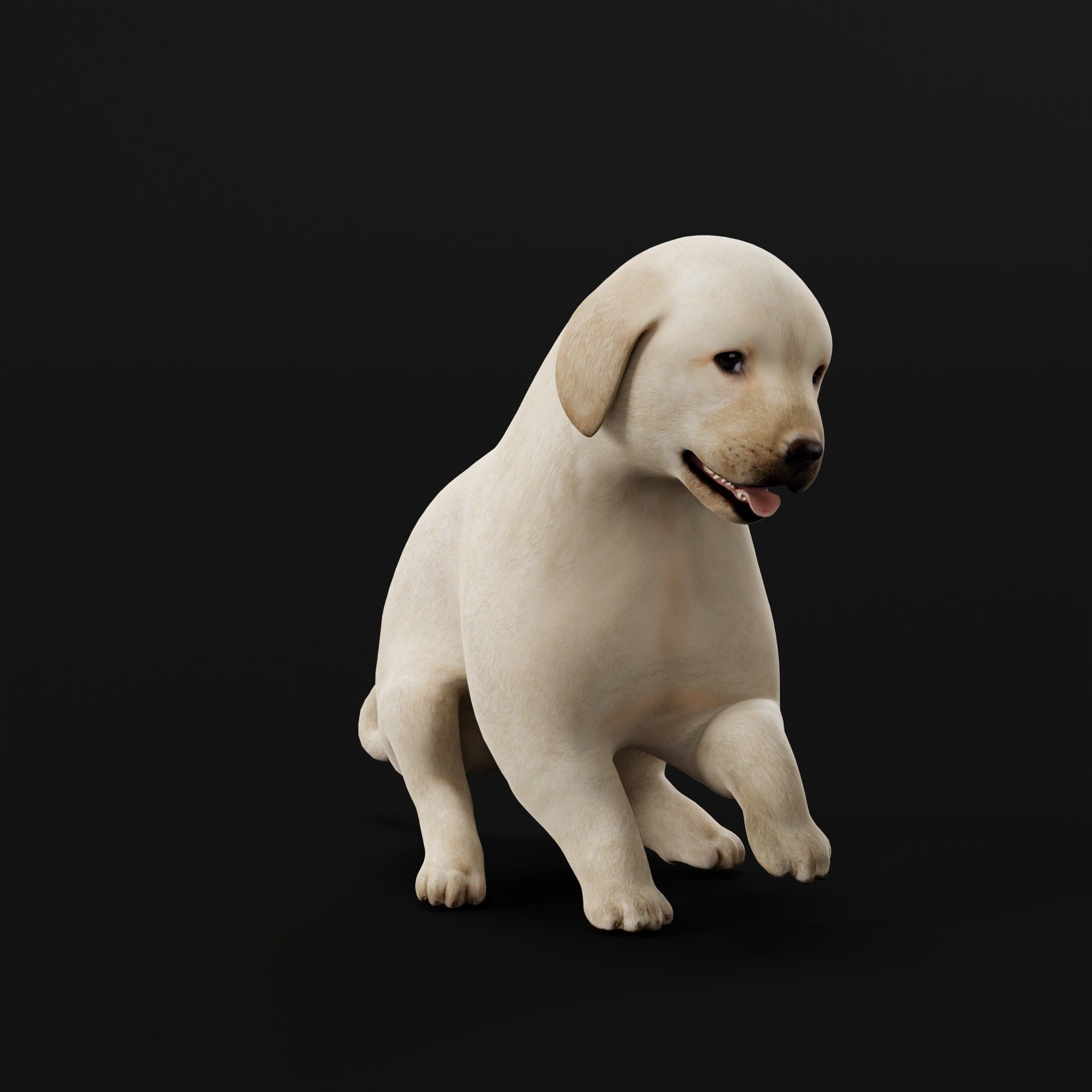 Retriever Puppy Dog 3D model_11