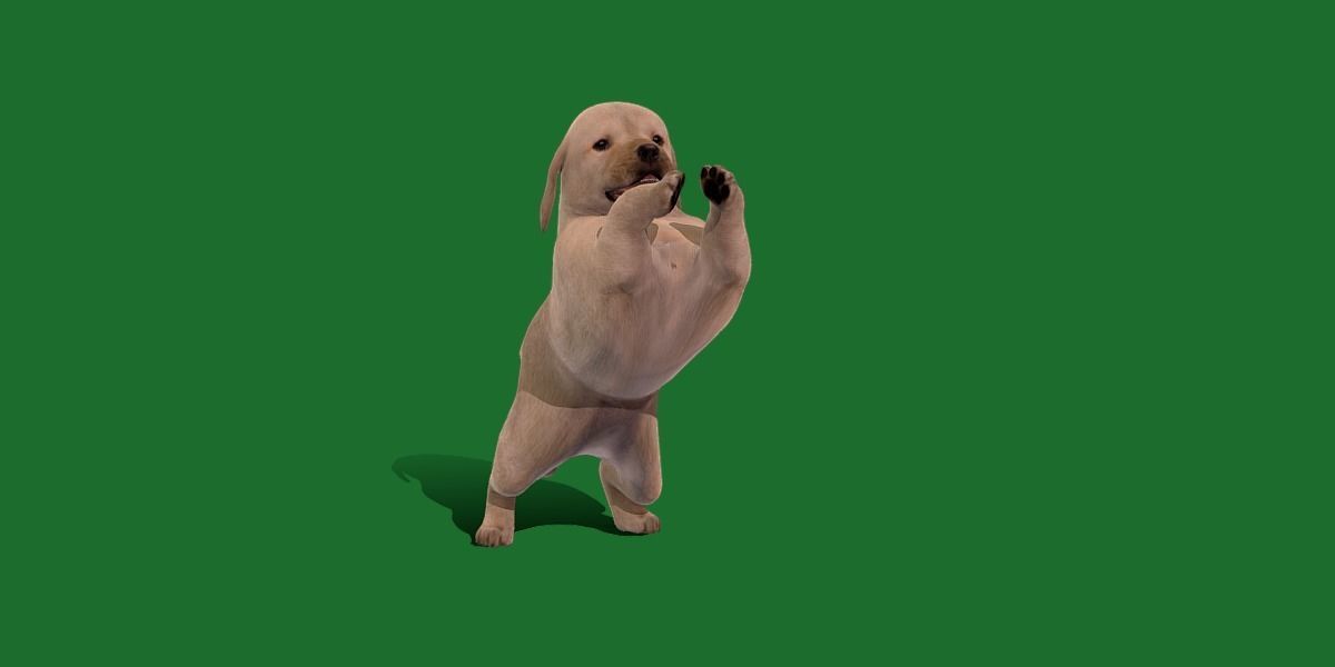 Retriever Puppy Dog 3D model_15