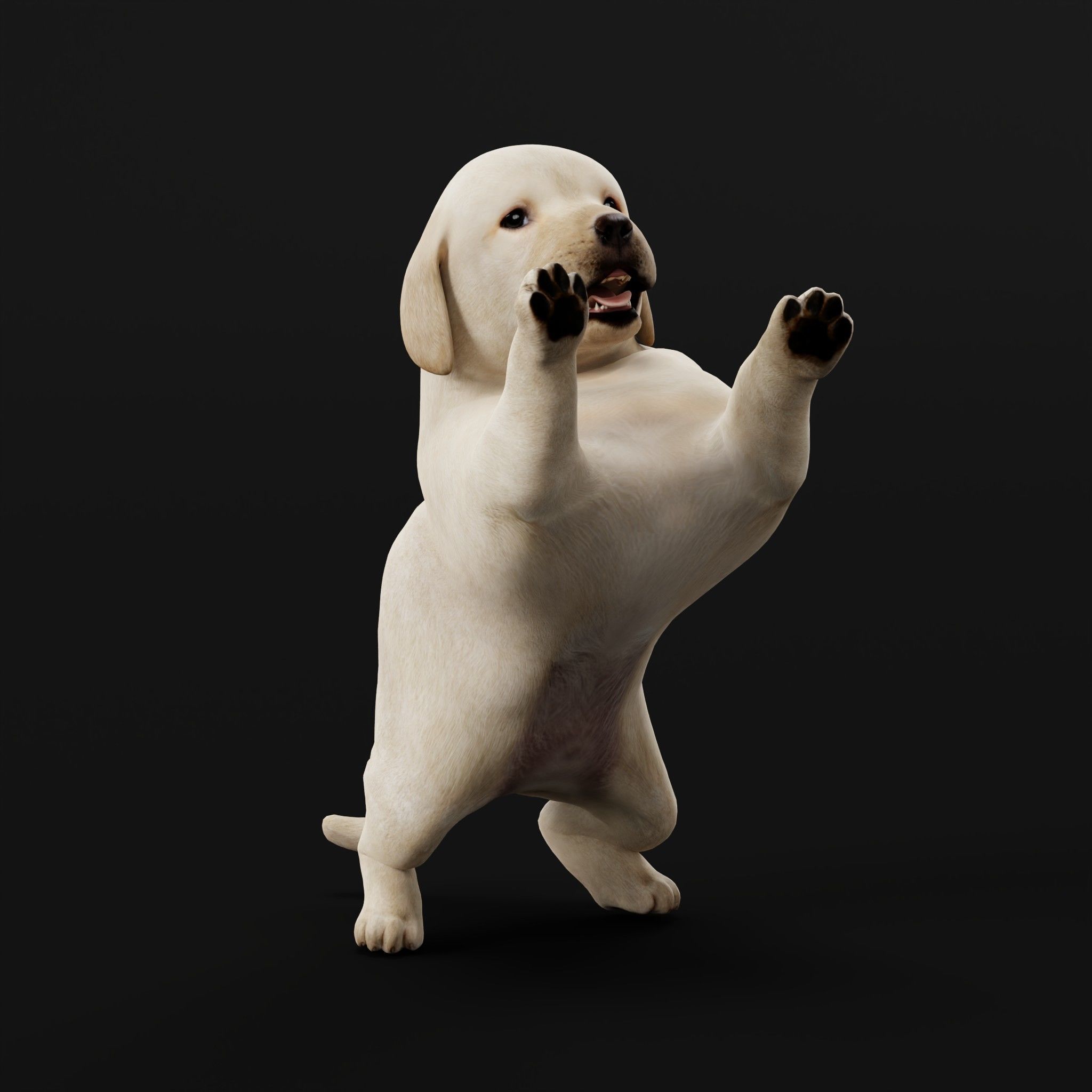 Retriever Puppy Dog 3D model_9