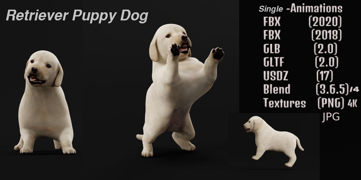 Retriever Puppy Dog 3D model_2