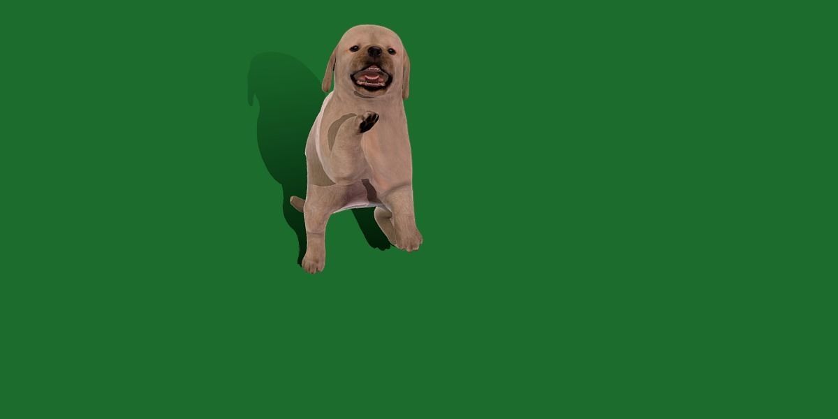Retriever Puppy Dog 3D model_26
