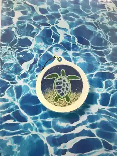 sea turtle accessories