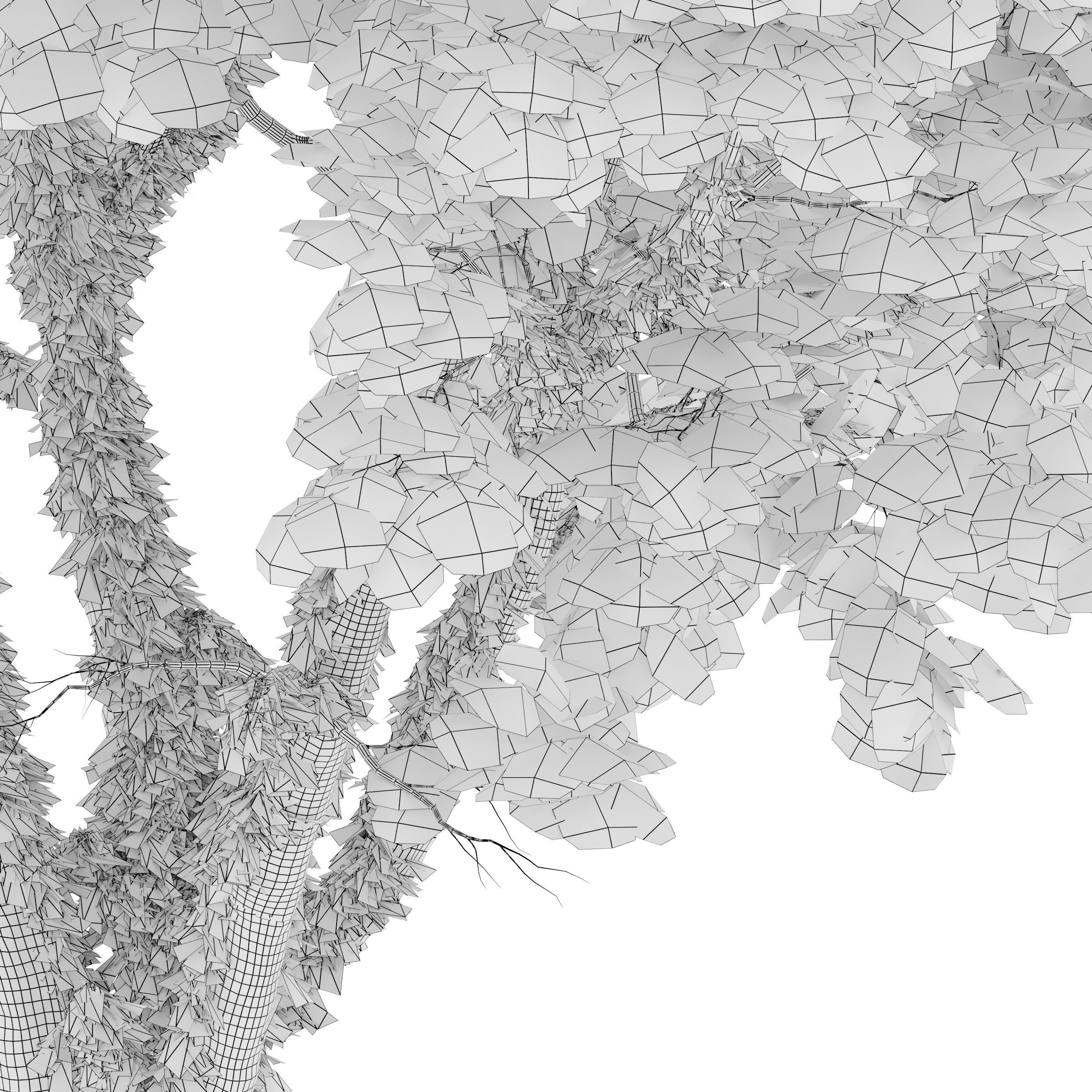 Autumn fraxinus pennsylvanica 3D model_6