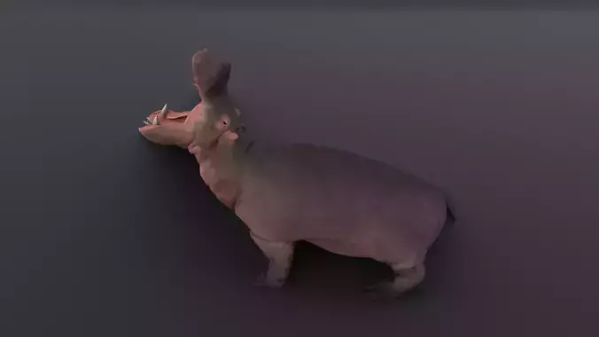 Animated hippopotamus 3D Model Low-poly 3D model