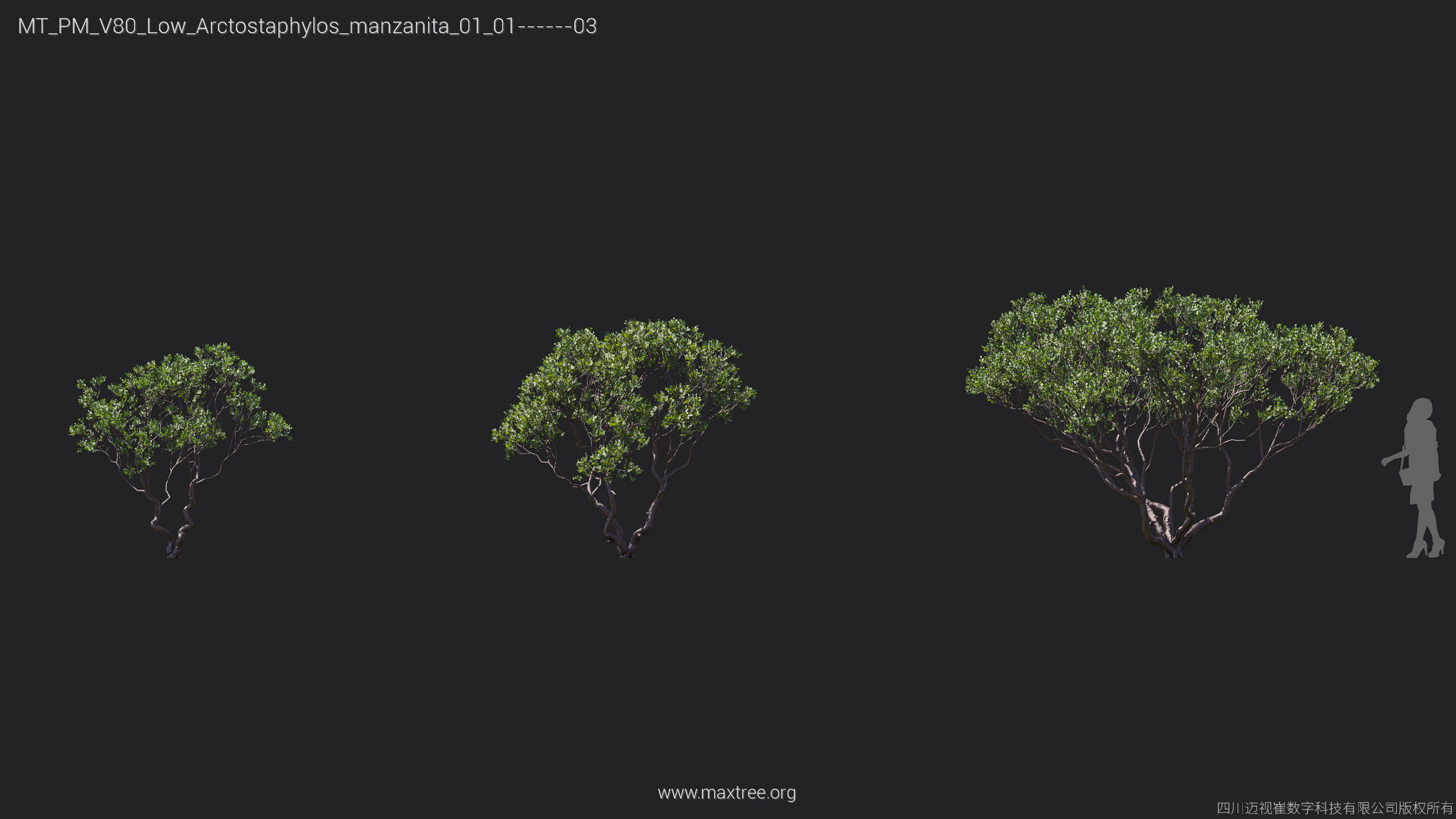 Maxtree Plant Models Vol 80 Low Poly - Mesh 3D model_4