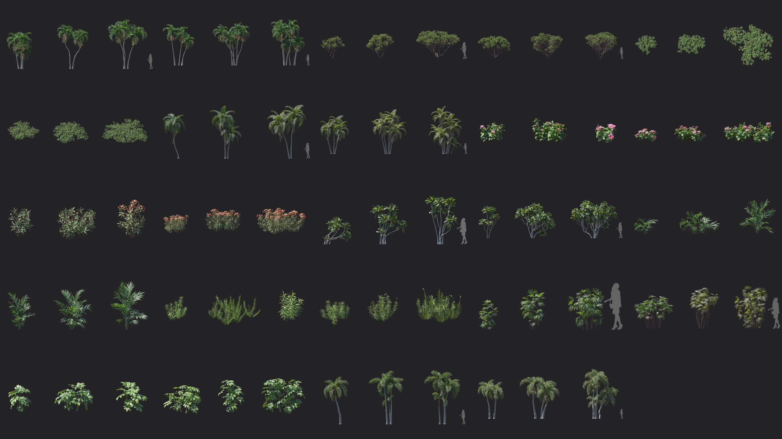 Maxtree Plant Models Vol 80 Low Poly - Mesh 3D model_2