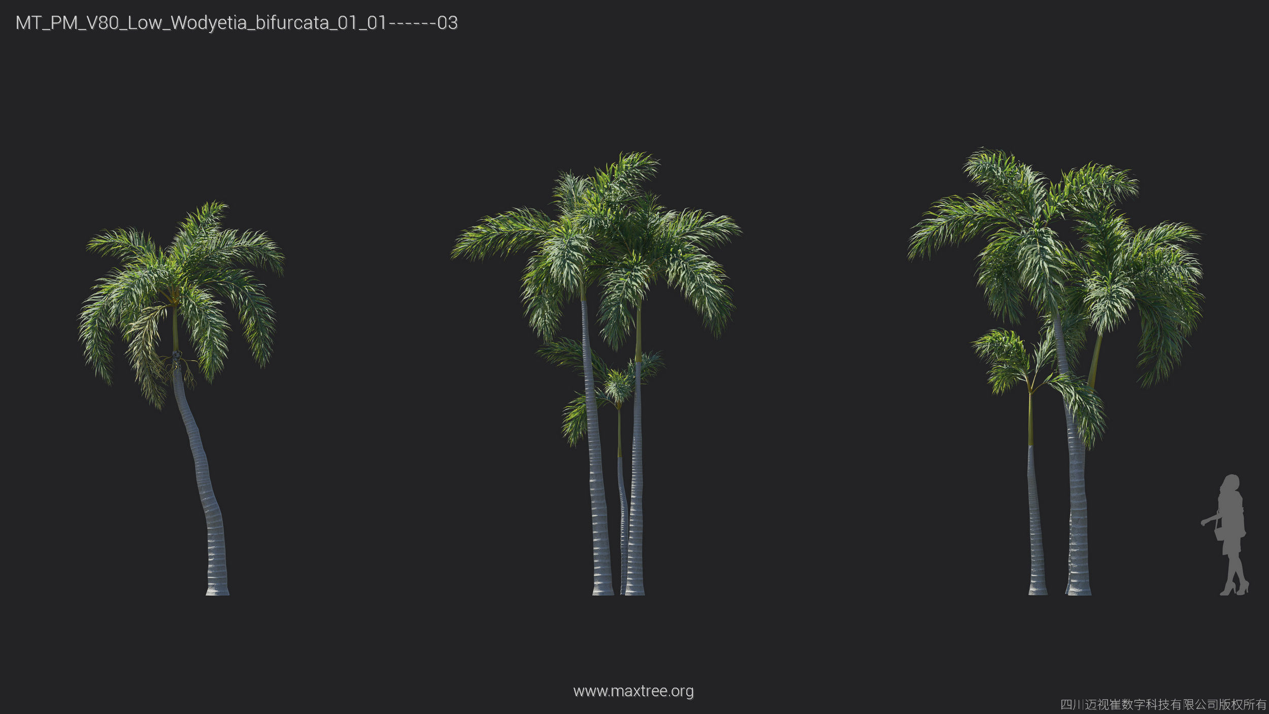 Maxtree Plant Models Vol 80 Low Poly - Mesh 3D model_12