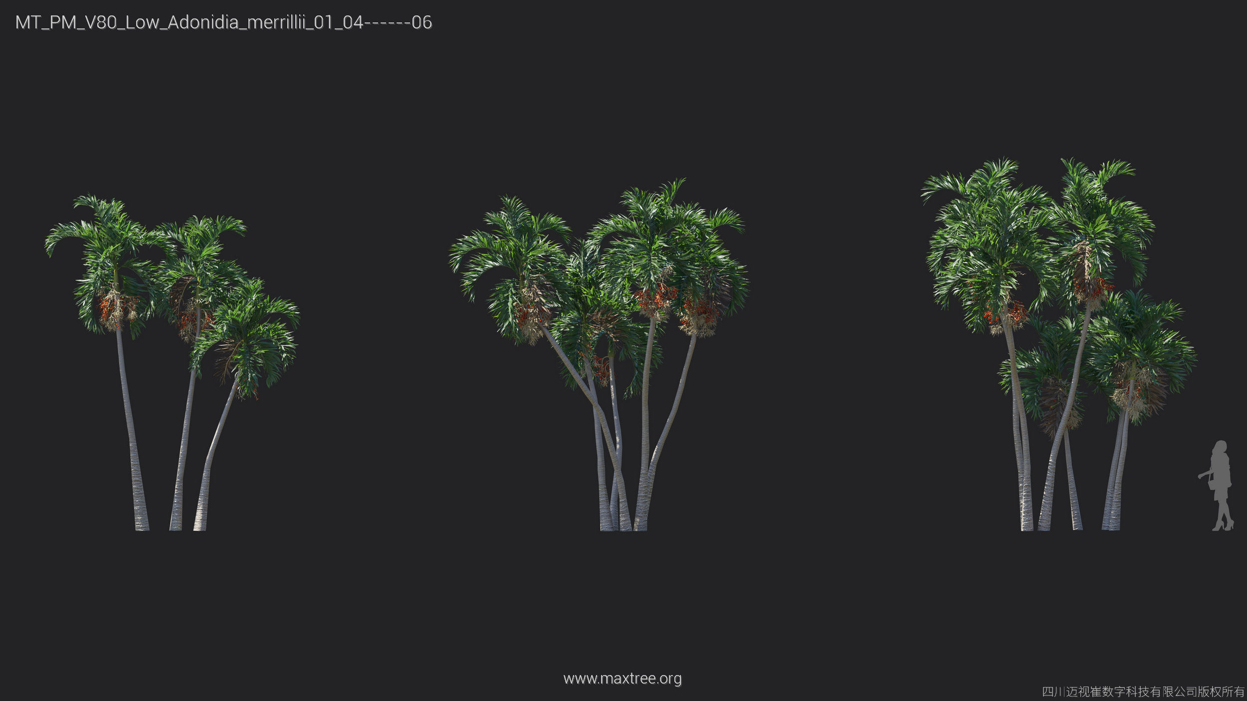 Maxtree Plant Models Vol 80 Low Poly - Mesh 3D model_14
