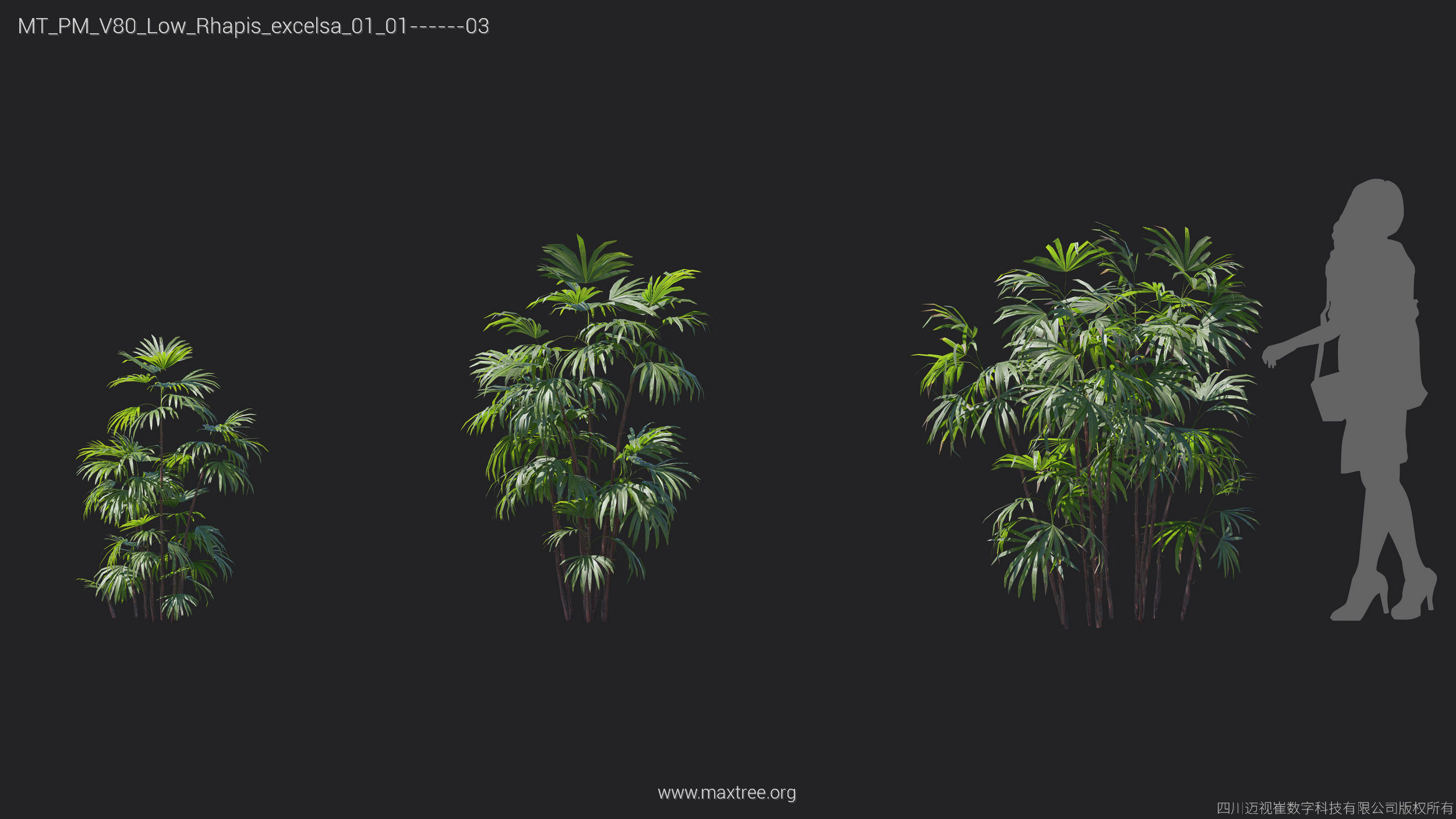 Maxtree Plant Models Vol 80 Low Poly - Mesh 3D model_9
