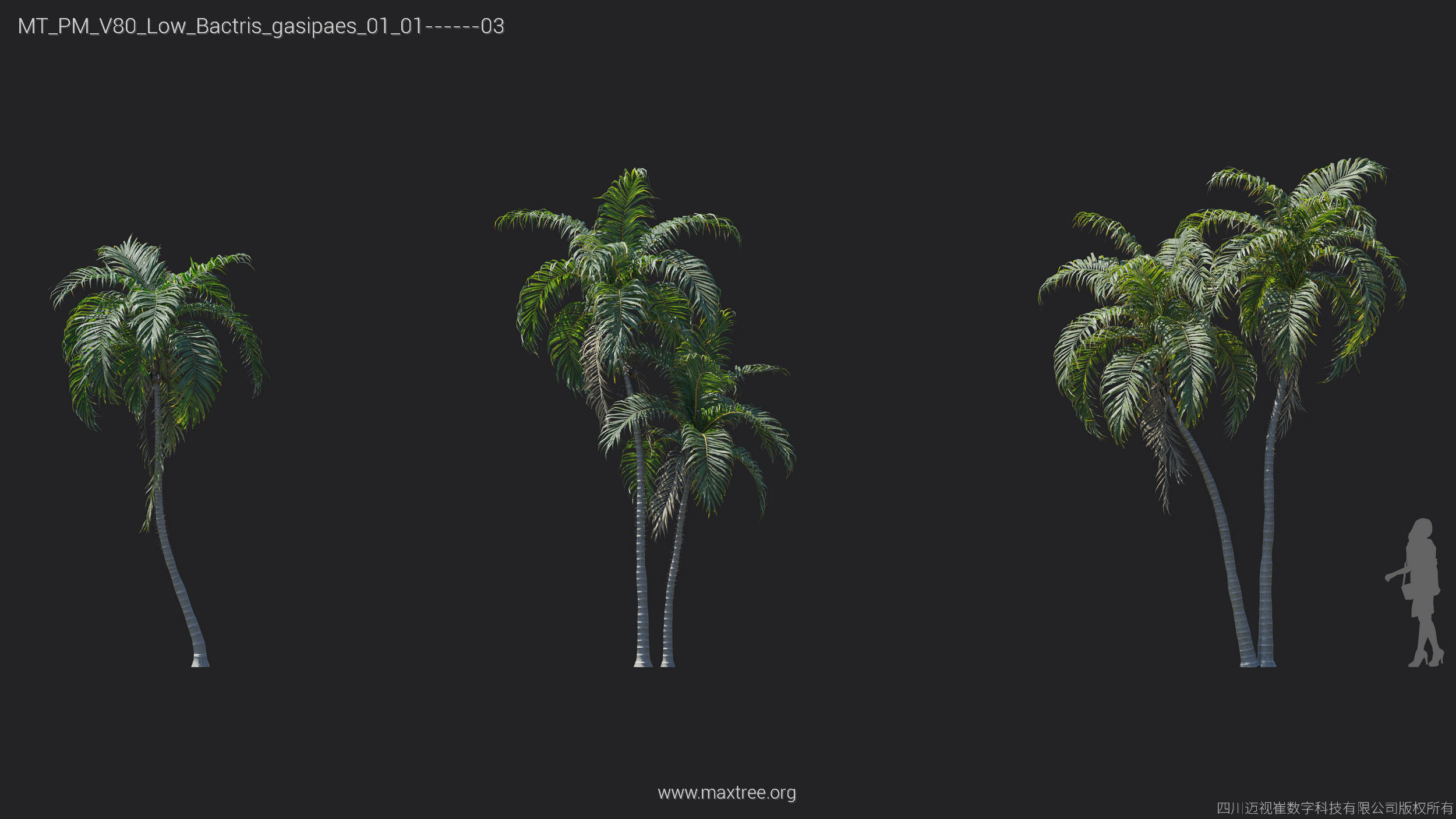 Maxtree Plant Models Vol 80 Low Poly - Mesh 3D model_18