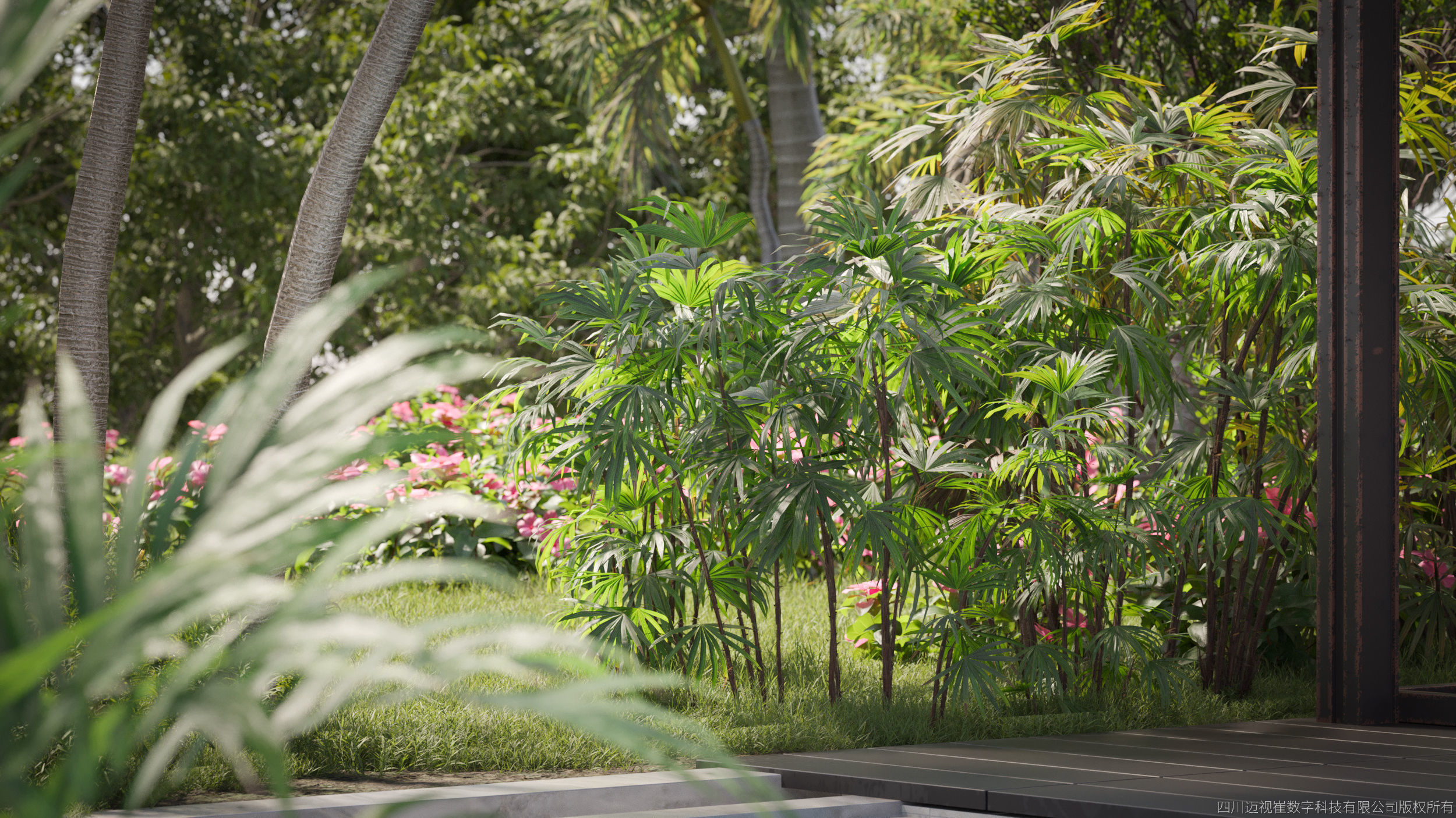 Maxtree Plant Models Vol 80 Low Poly - Mesh 3D model_1