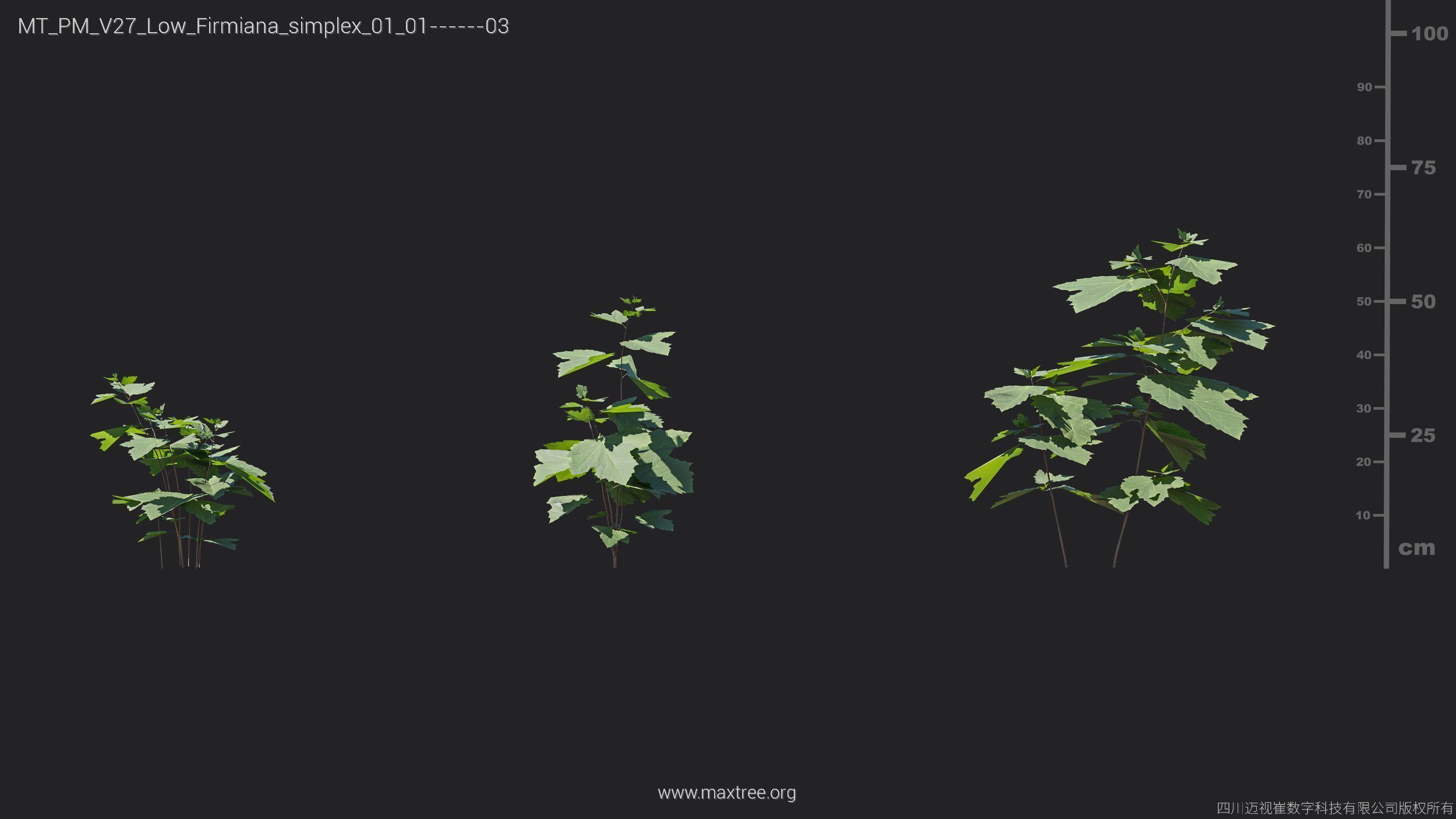 Maxtree Plant Models Vol 27 Low Poly - Mesh 3D model_11