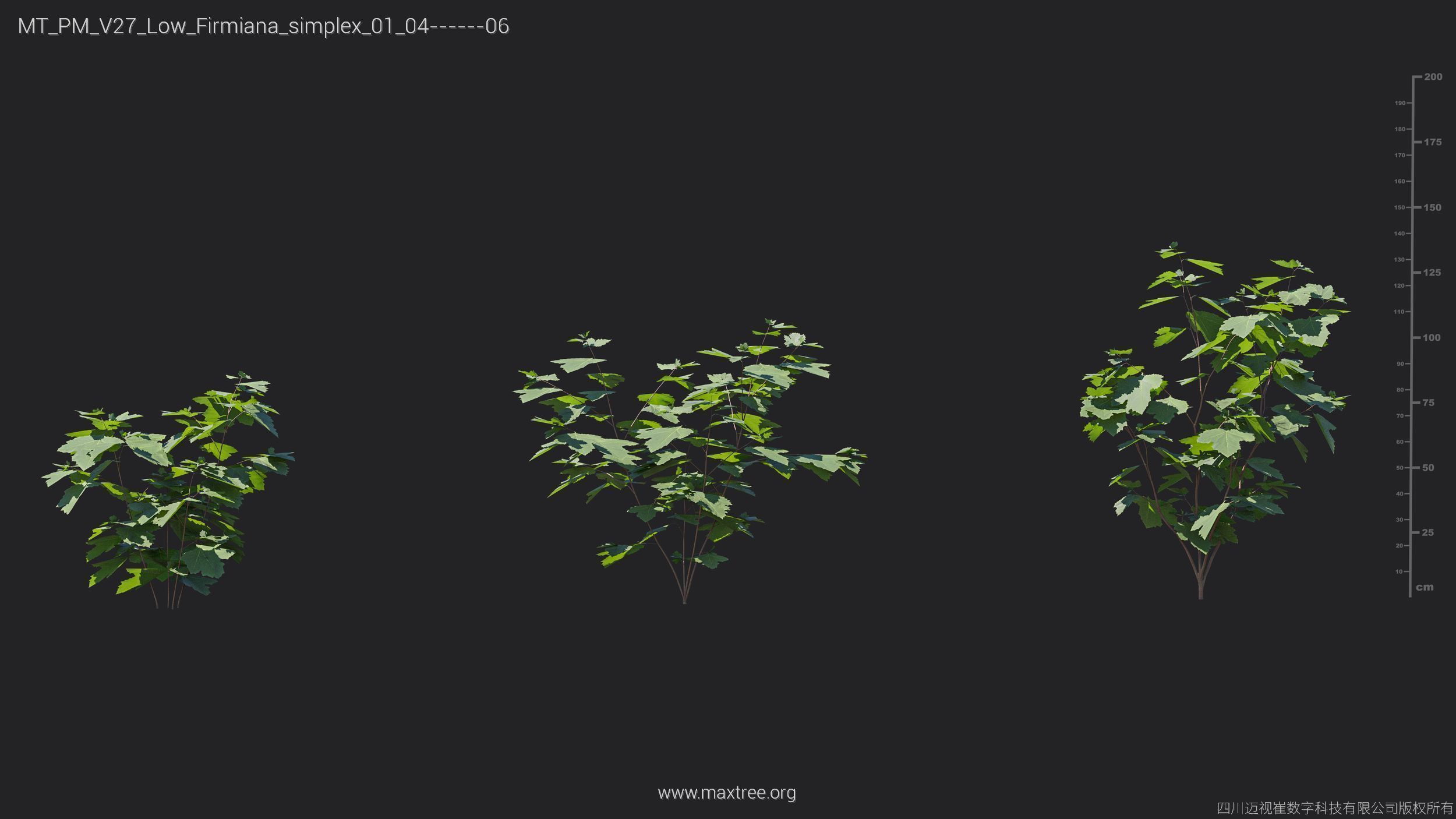 Maxtree Plant Models Vol 27 Low Poly - Mesh 3D model_12