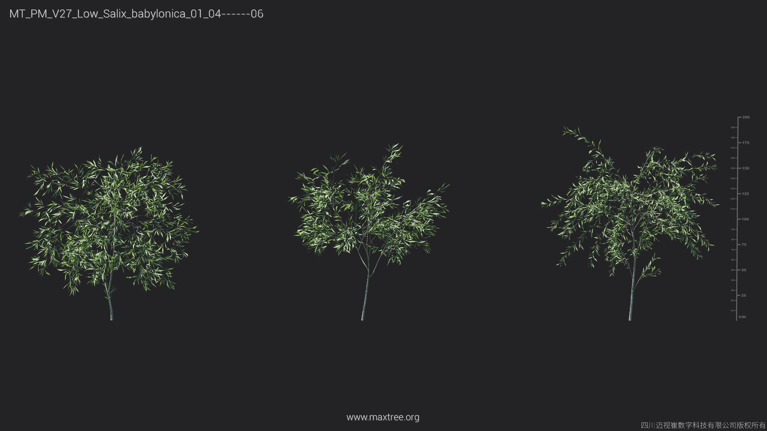 Maxtree Plant Models Vol 27 Low Poly - Mesh 3D model_24