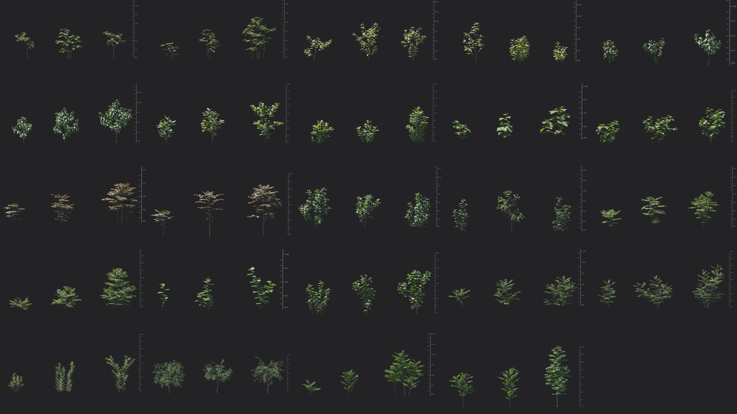 Maxtree Plant Models Vol 27 Low Poly - Mesh 3D model_2