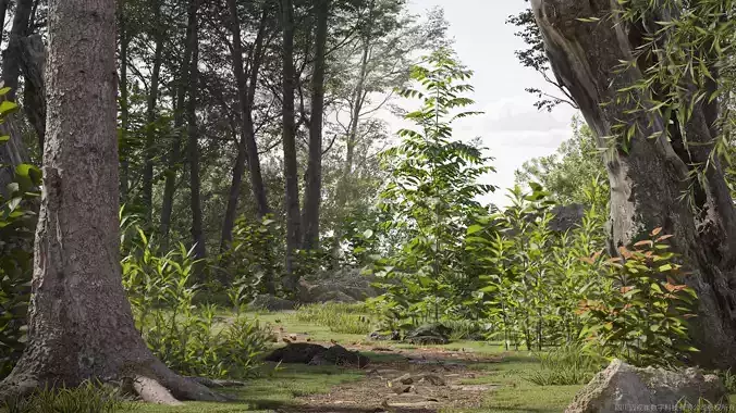 Maxtree Plant Models Vol 27 Low Poly - Mesh