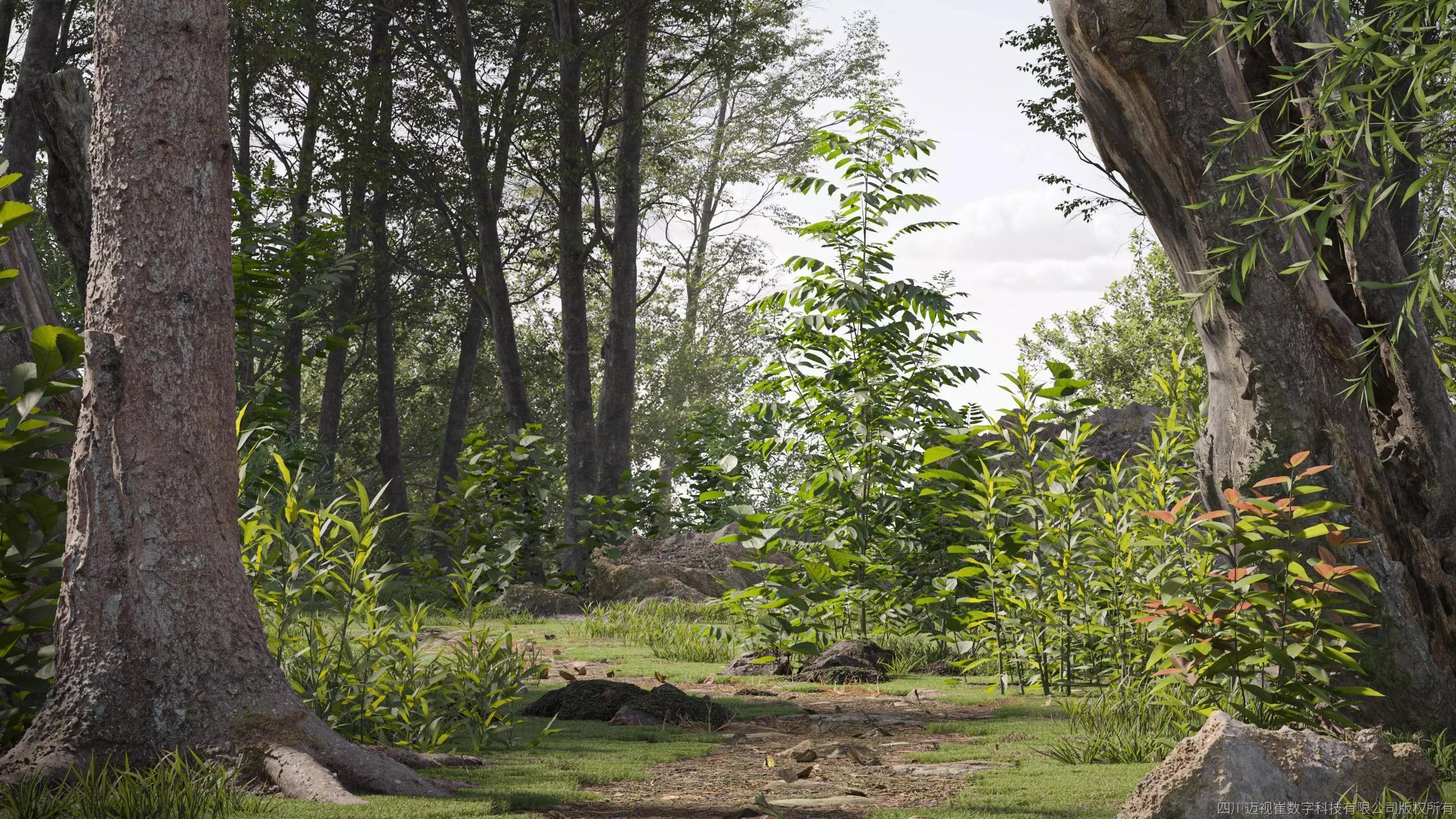 Maxtree Plant Models Vol 27 Low Poly - Mesh 3D model_0