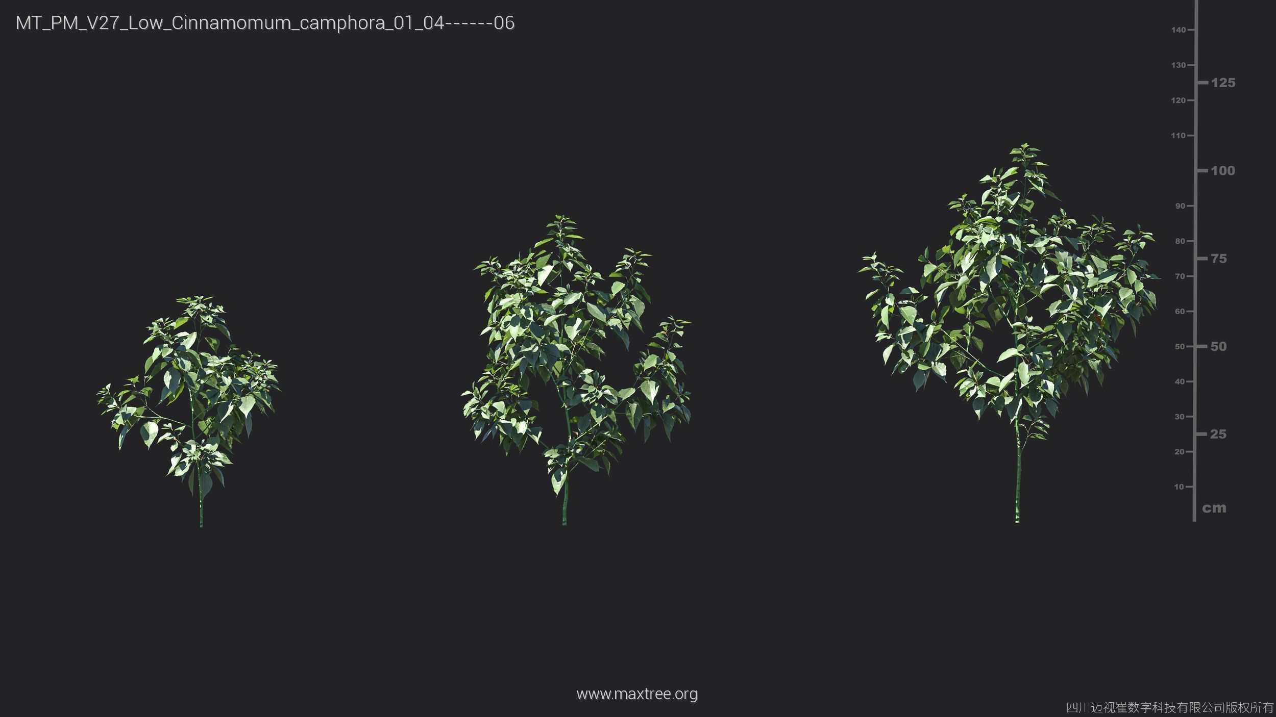 Maxtree Plant Models Vol 27 Low Poly - Mesh 3D model_8