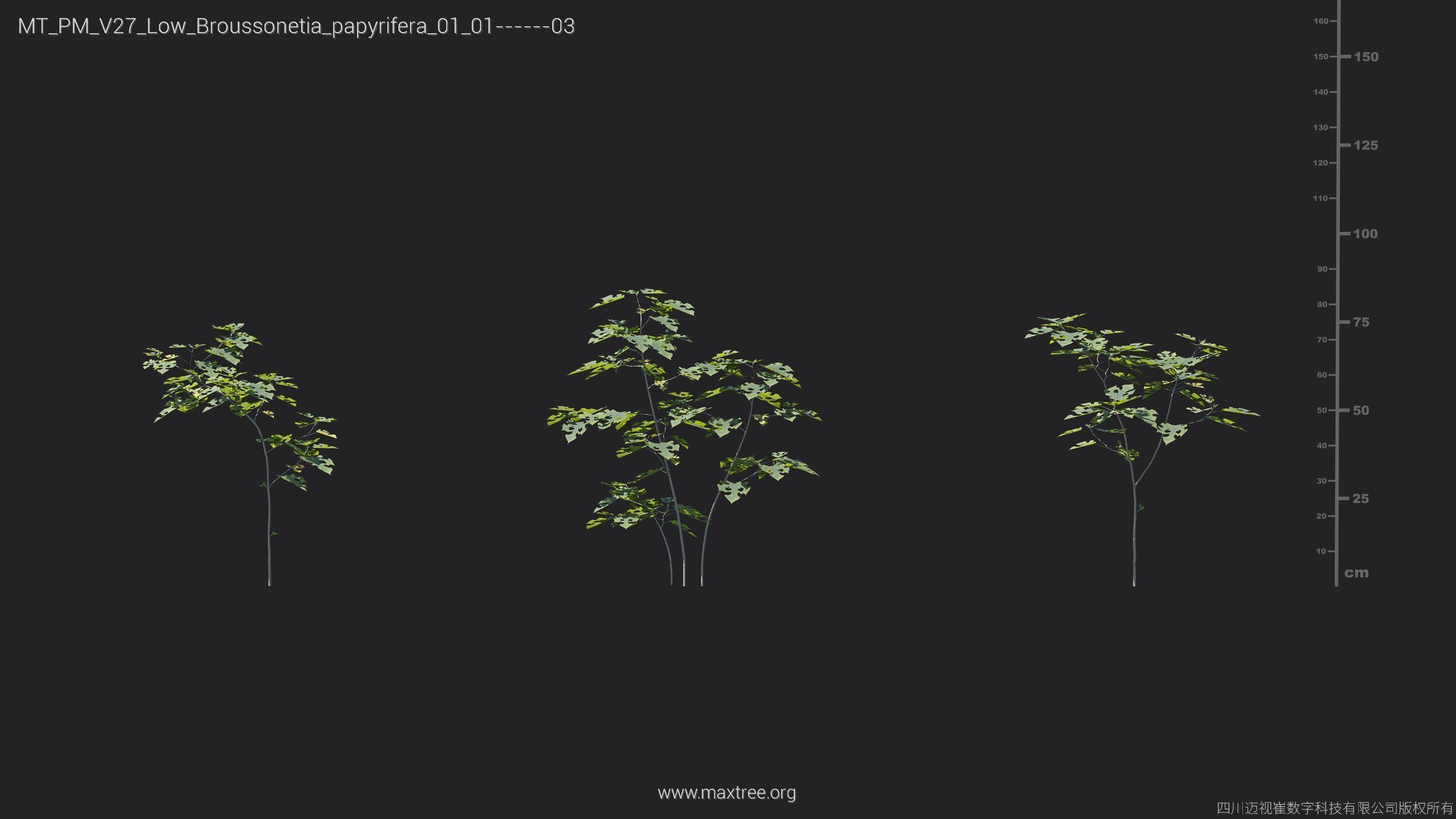 Maxtree Plant Models Vol 27 Low Poly - Mesh 3D model_3