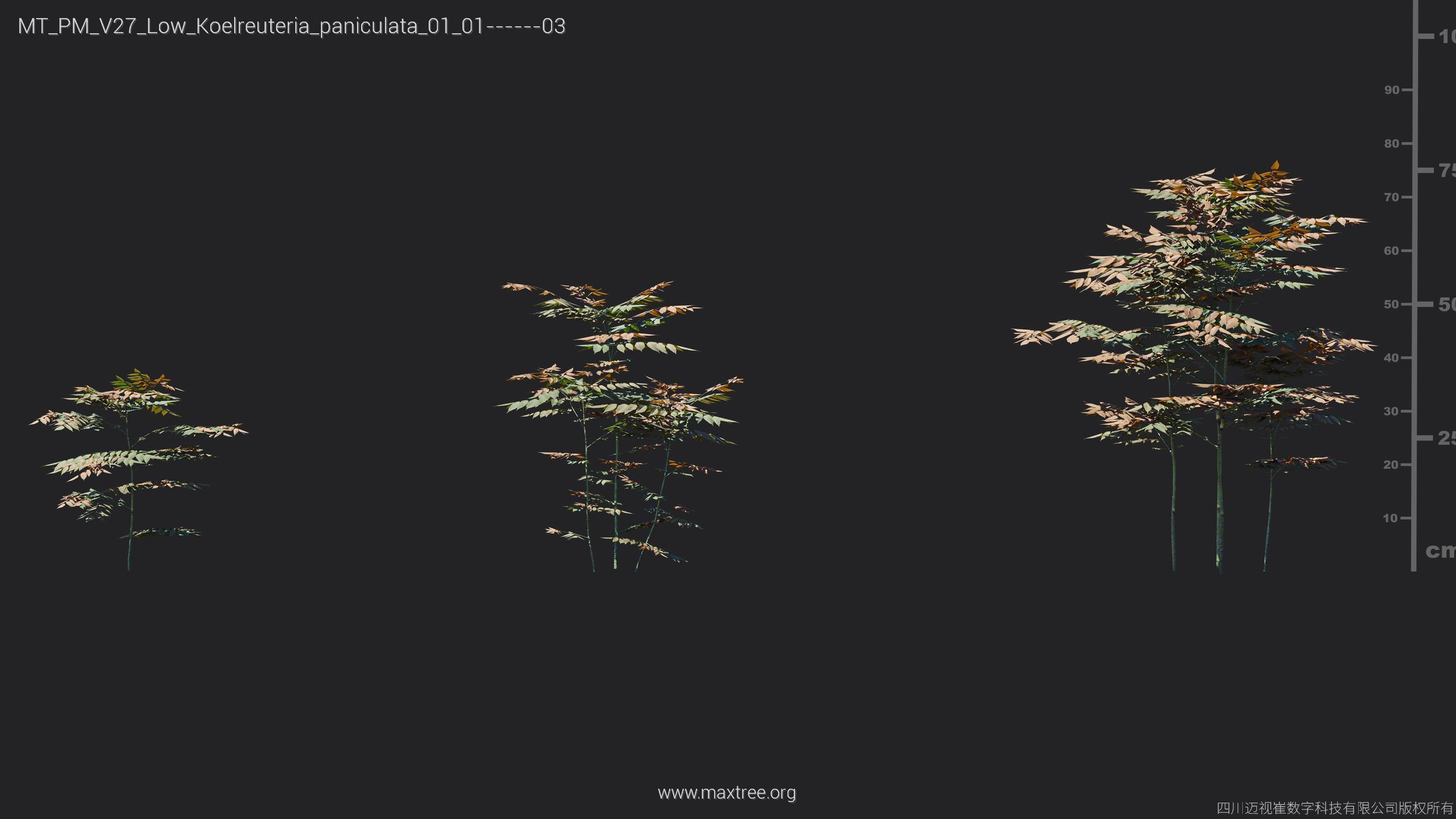 Maxtree Plant Models Vol 27 Low Poly - Mesh 3D model_13