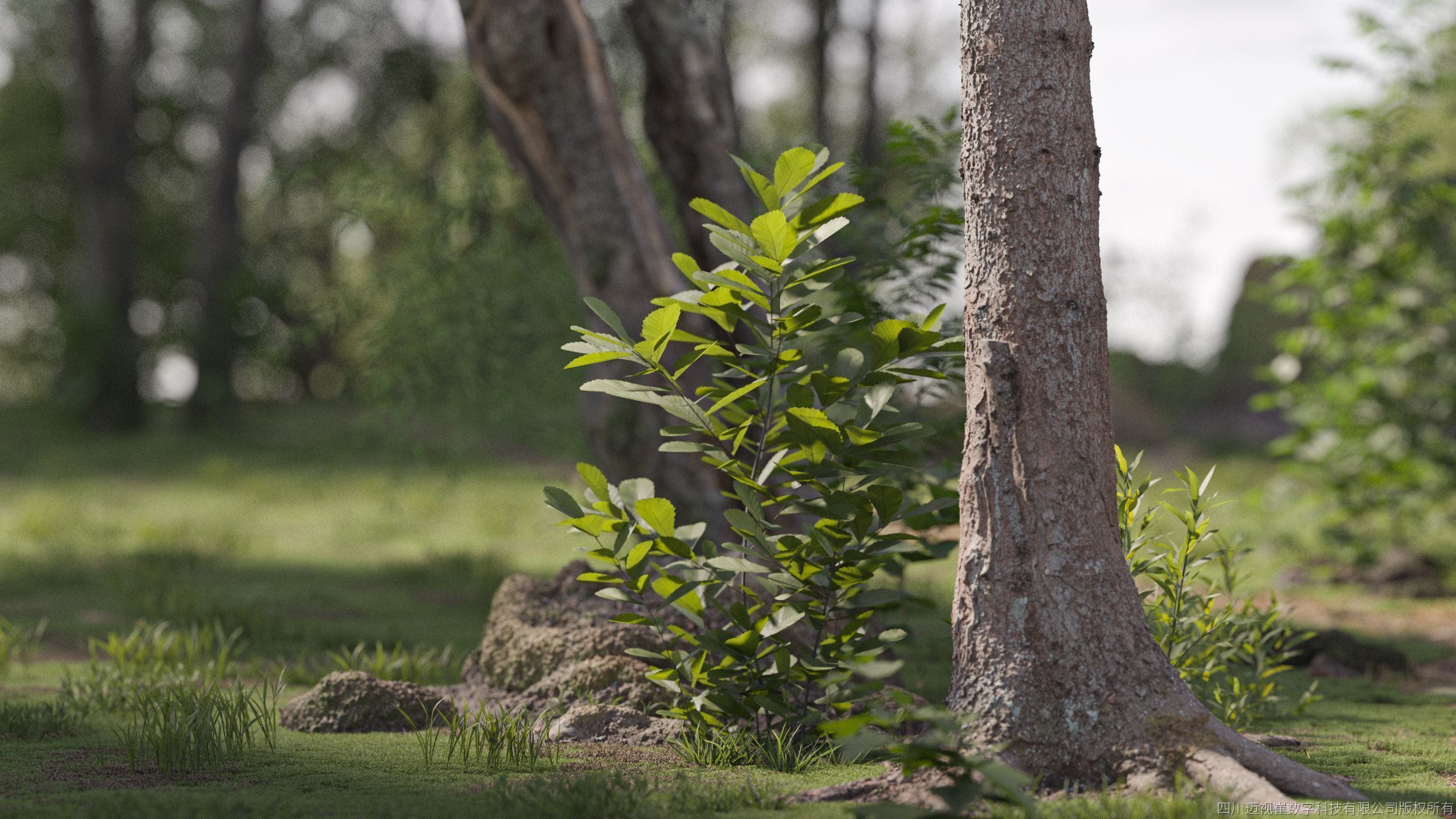 Maxtree Plant Models Vol 27 Low Poly - Mesh 3D model_1